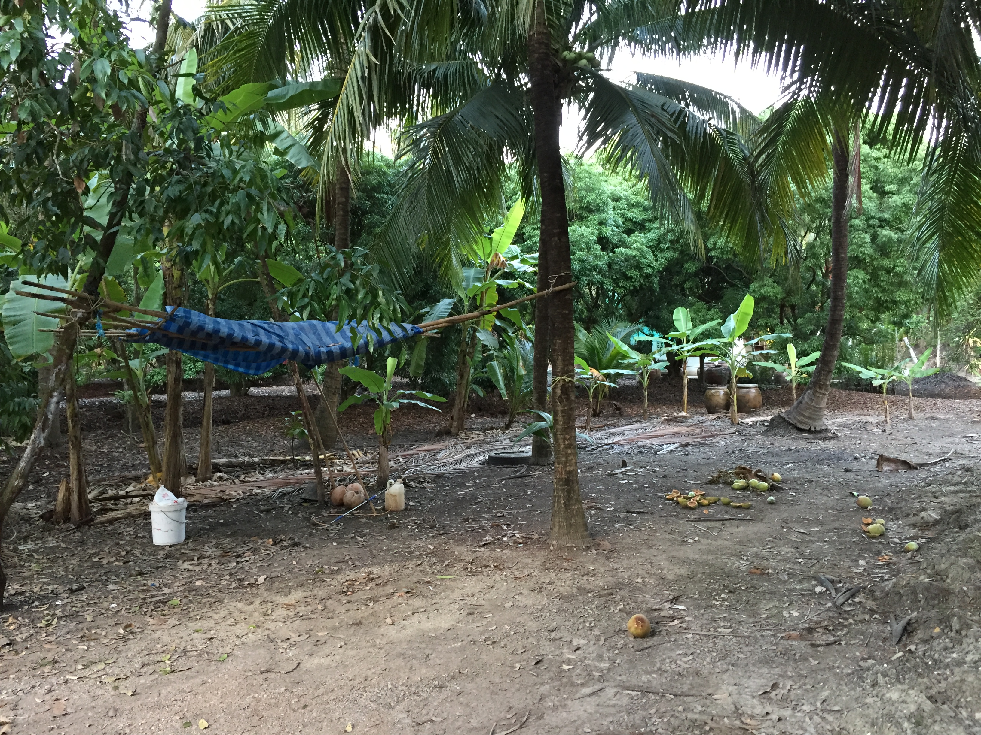 คนรักการ์ตูน