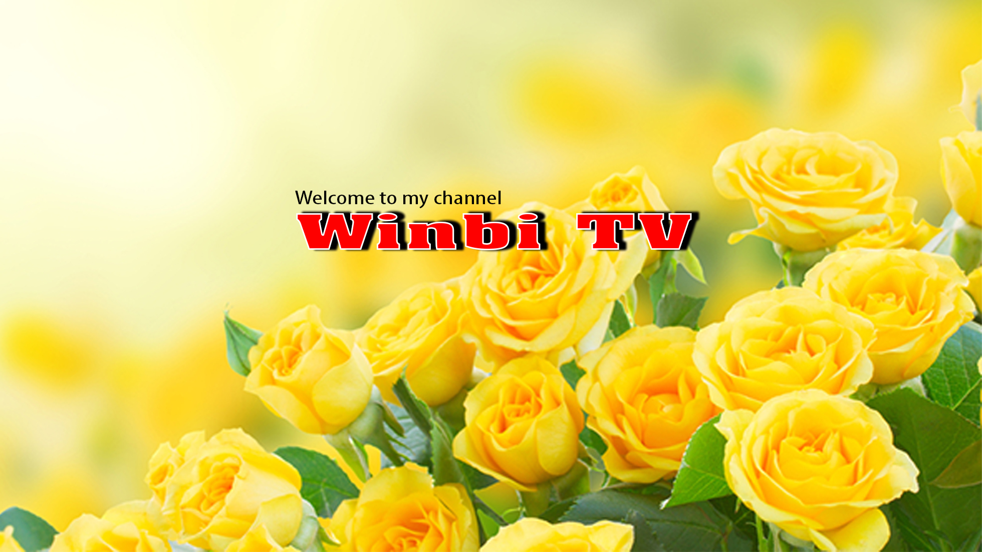 WinbiTV