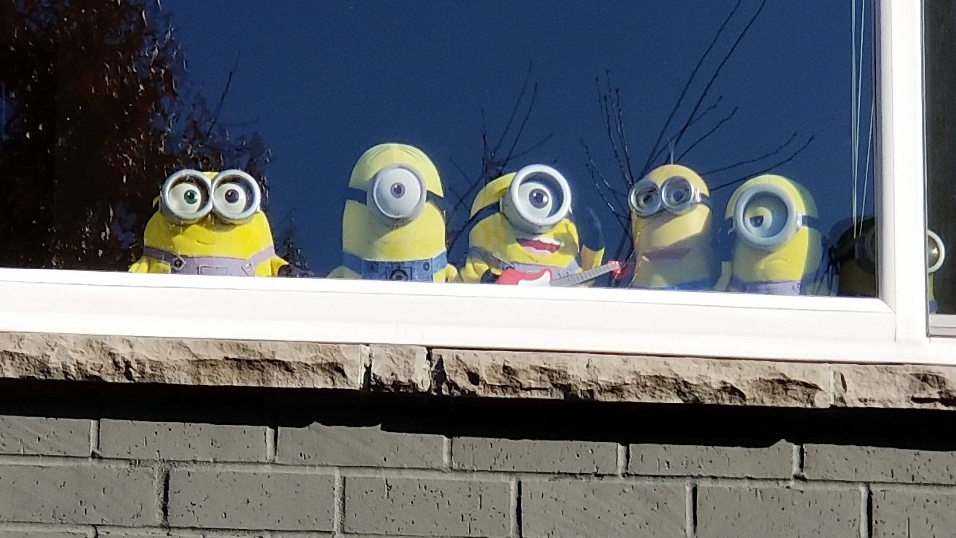 dm_a8b66ee31a1c619285a008ed0f845f98