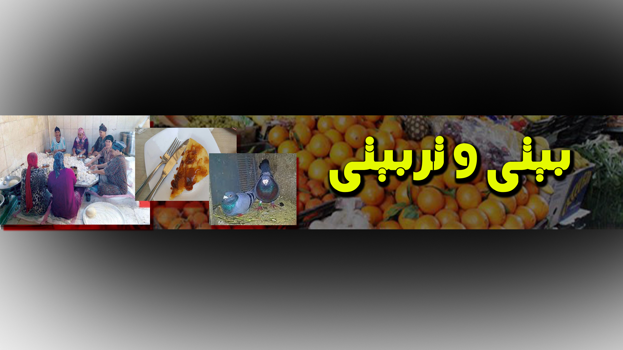 بيتى وتربيتى