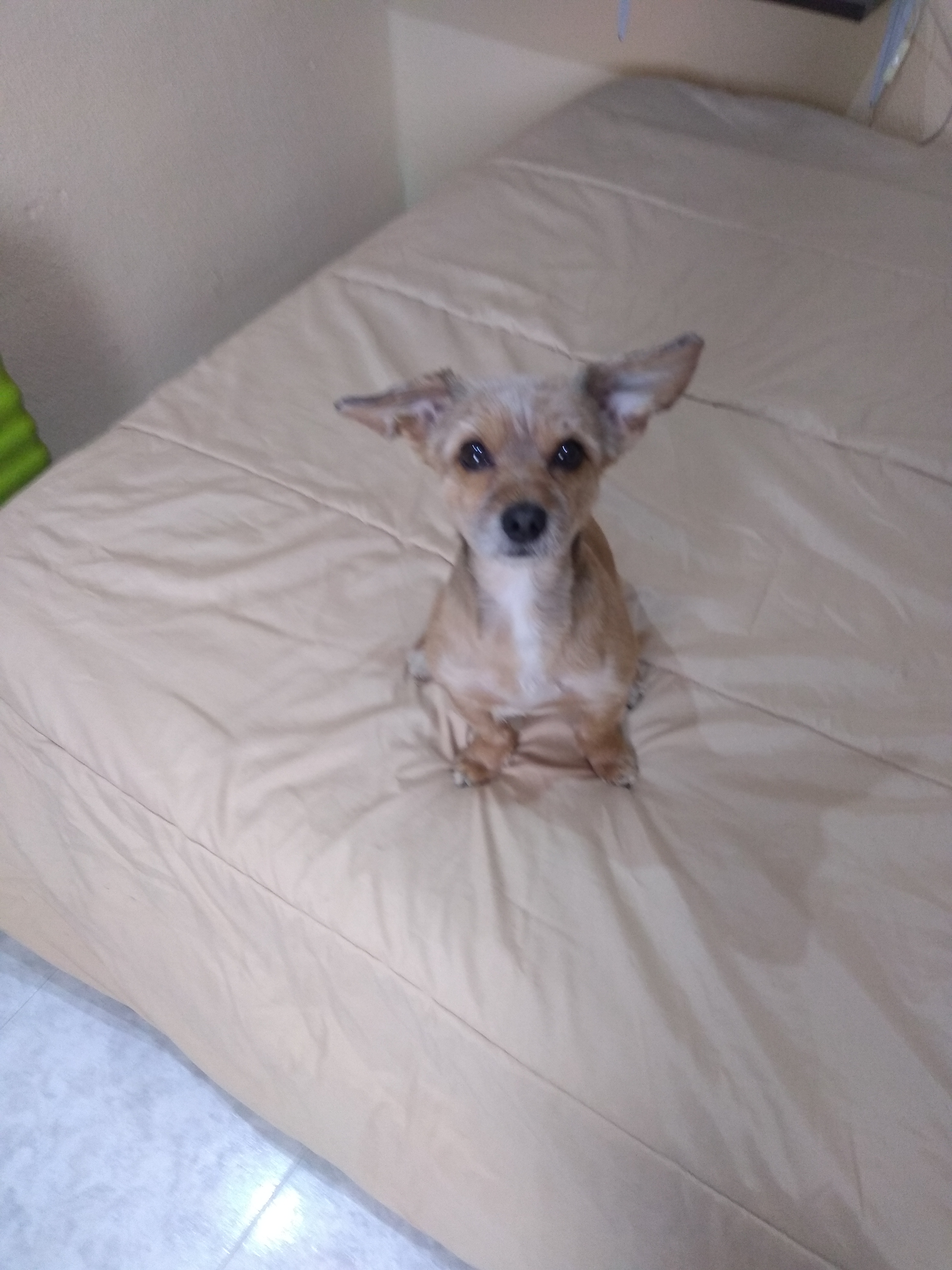 Tododesde13Marzoenvídeos