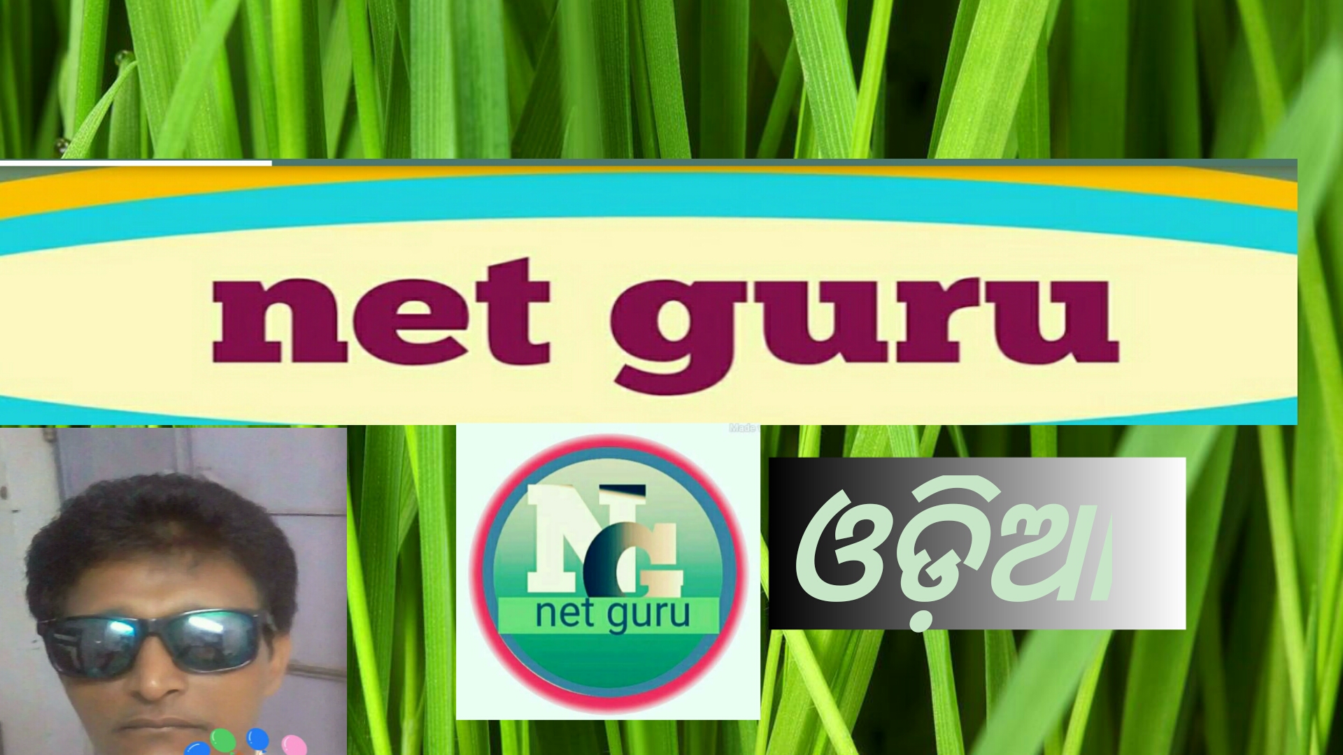 net guru odia