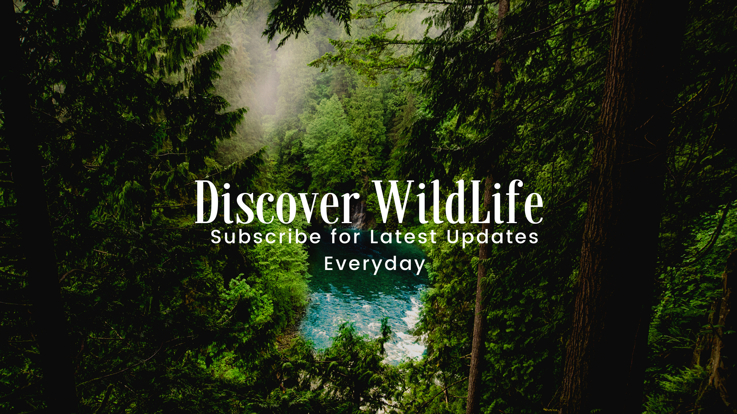 Discover Wildlife