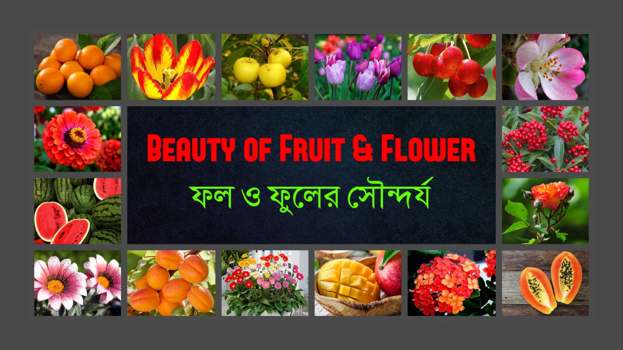 Beauty of Fruit & flower