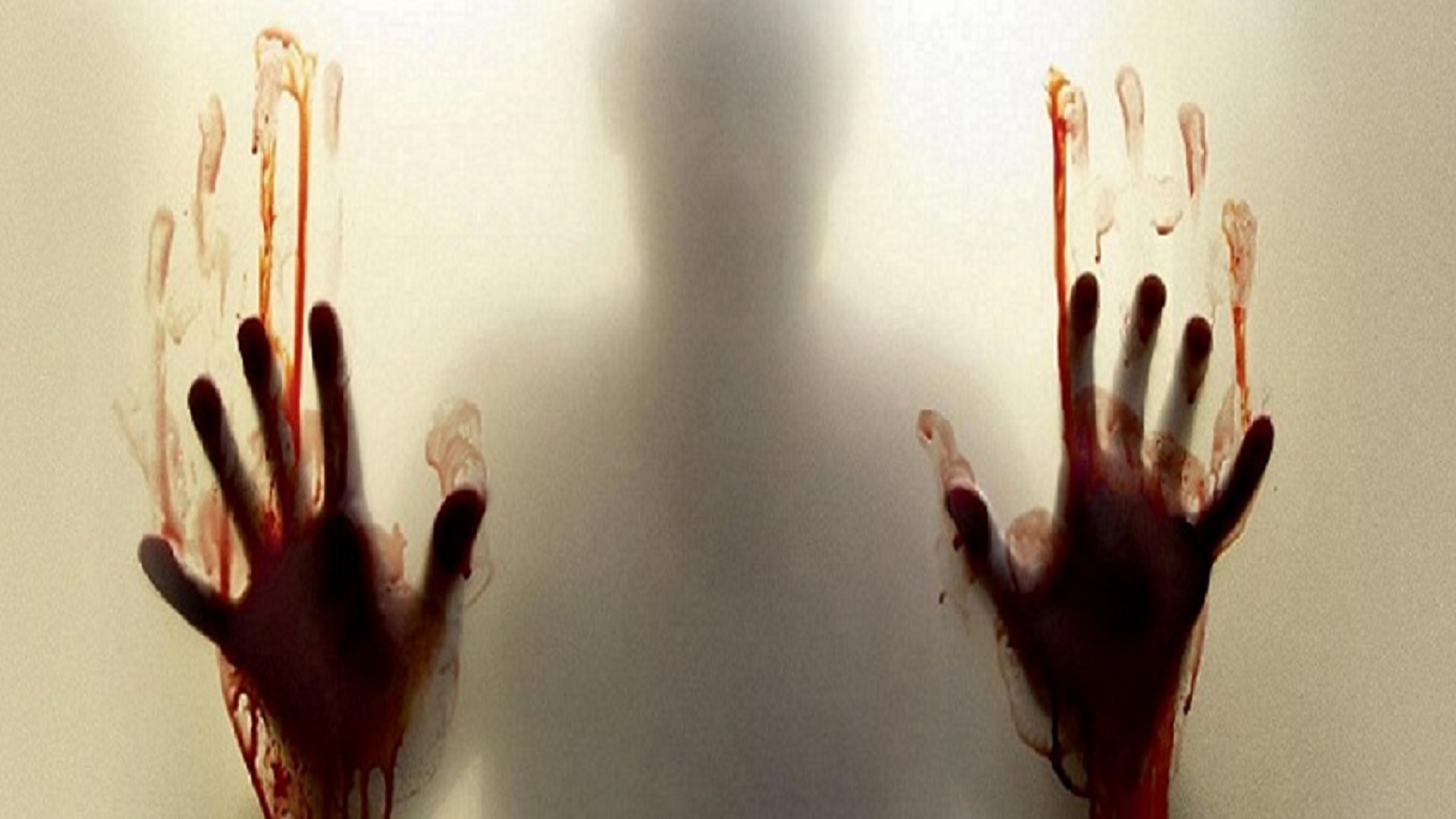 steven paranormal visitors