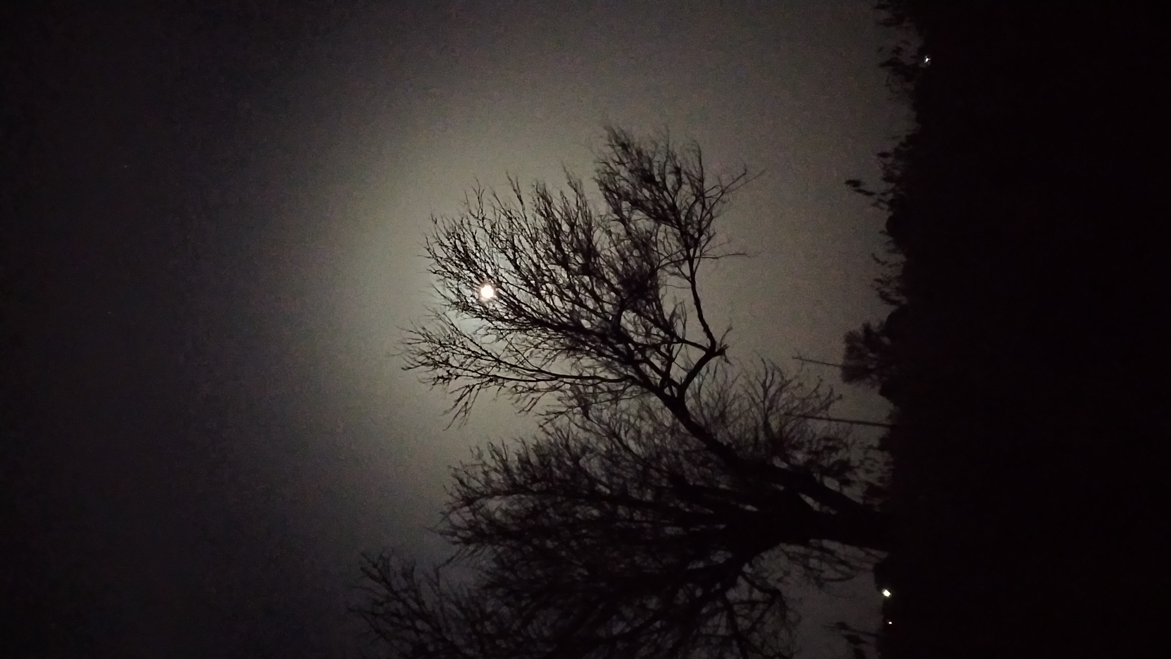 The punjabi songs hub