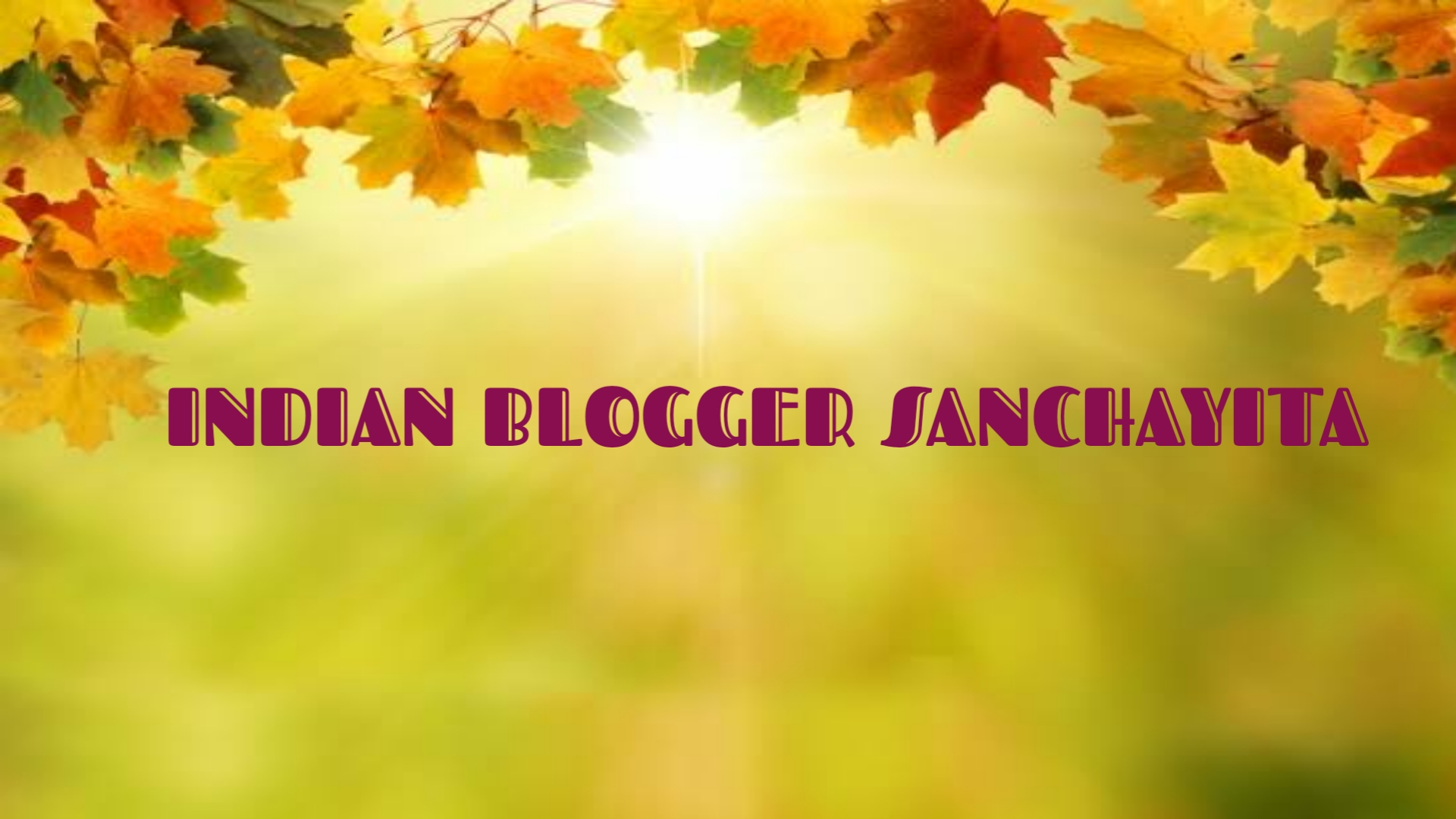 Indian Blogger Sanchayita