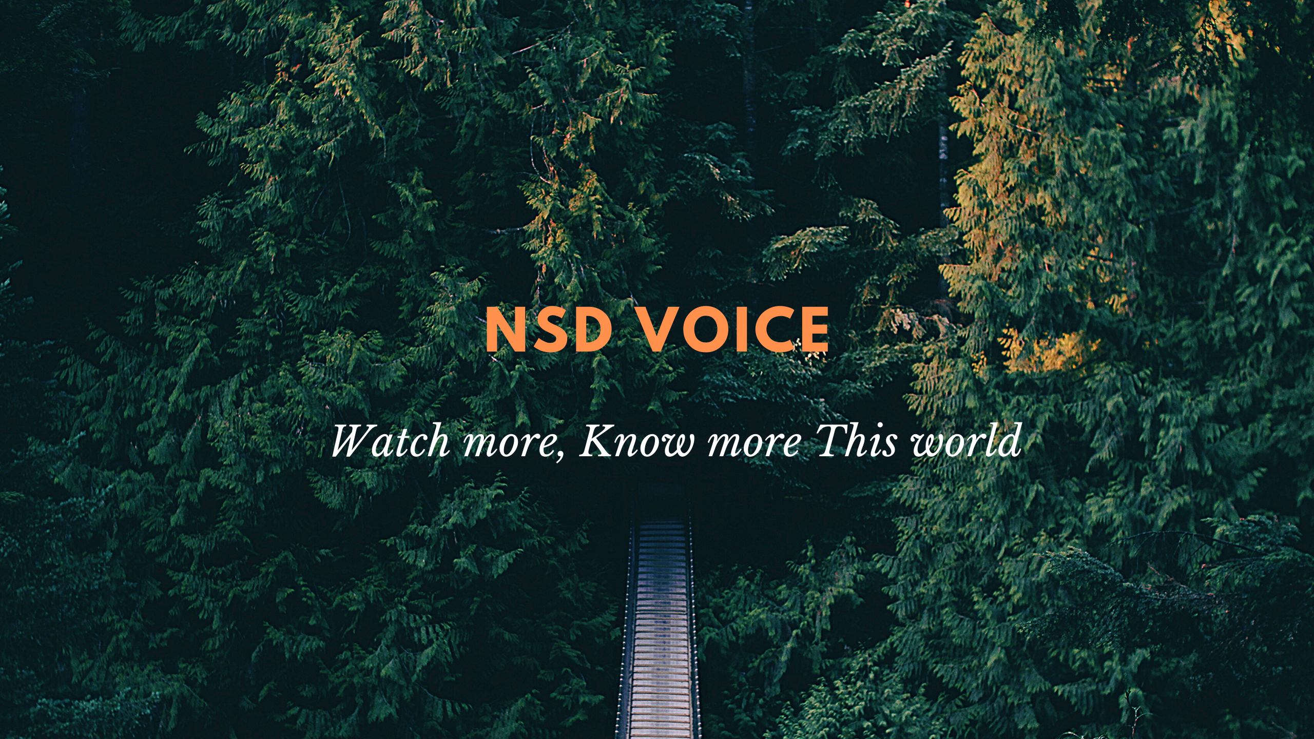 Nsd Voice
