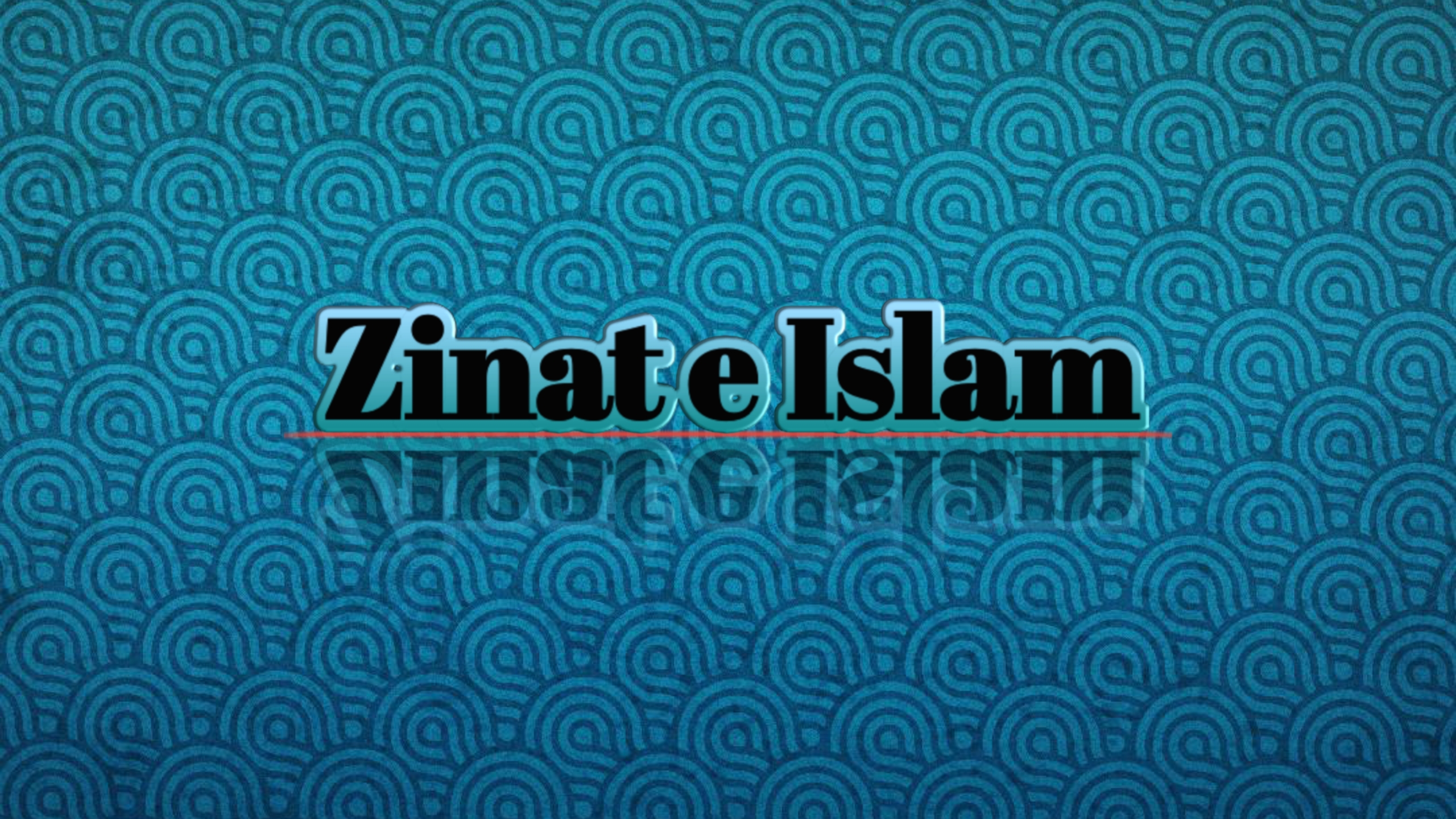 zinat e islam