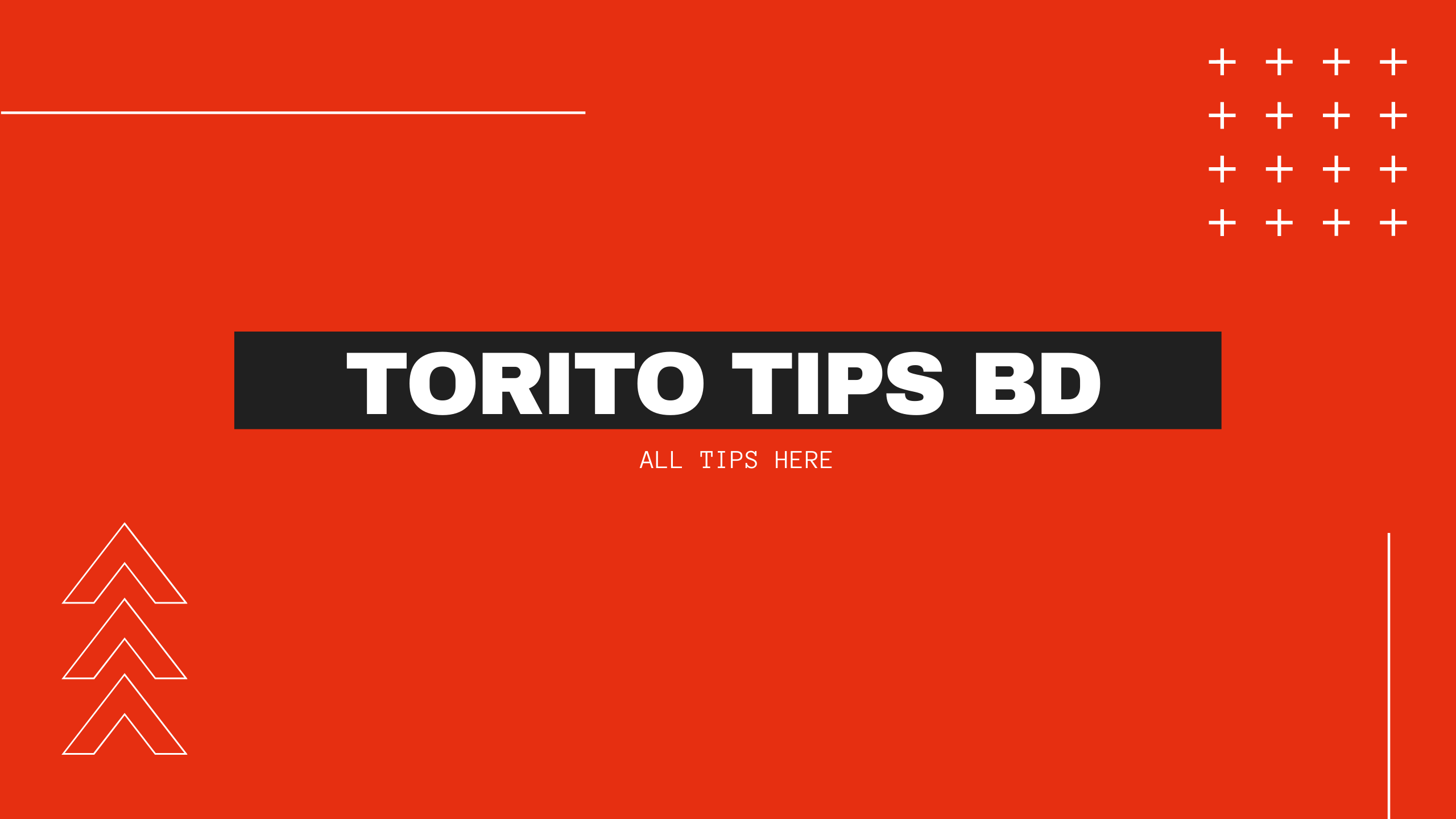 Torito Tips BD