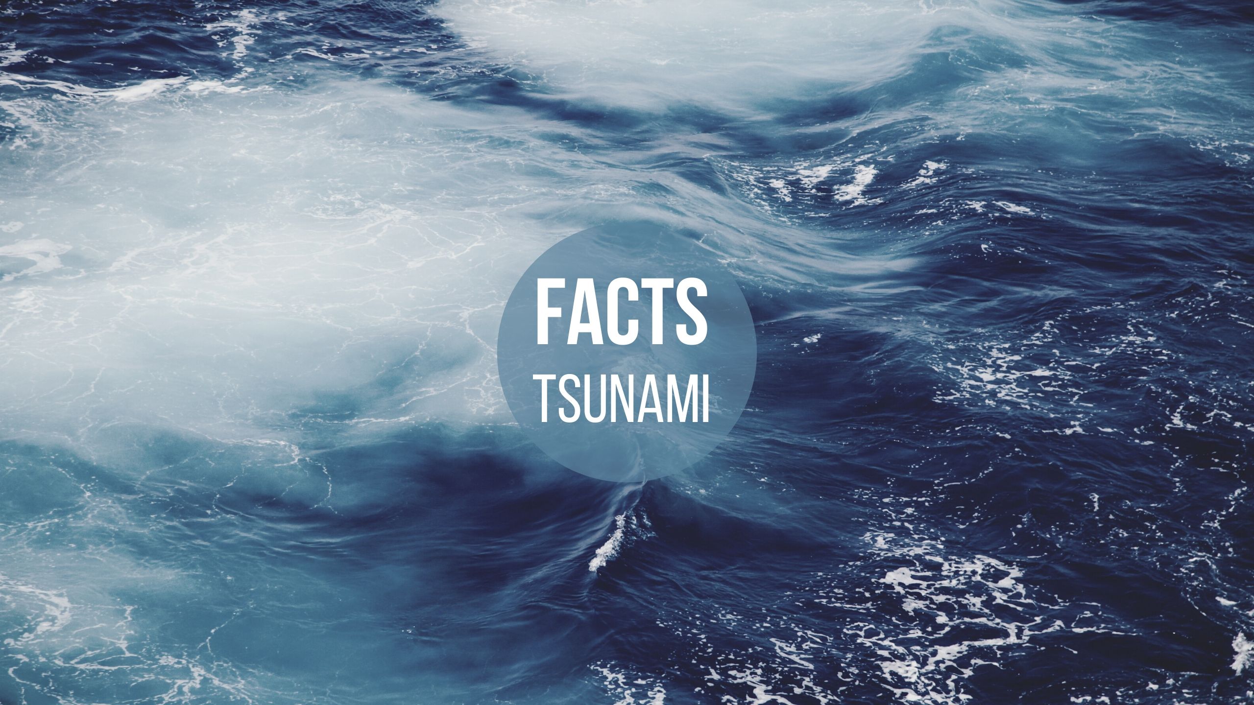 Facts Tsunami