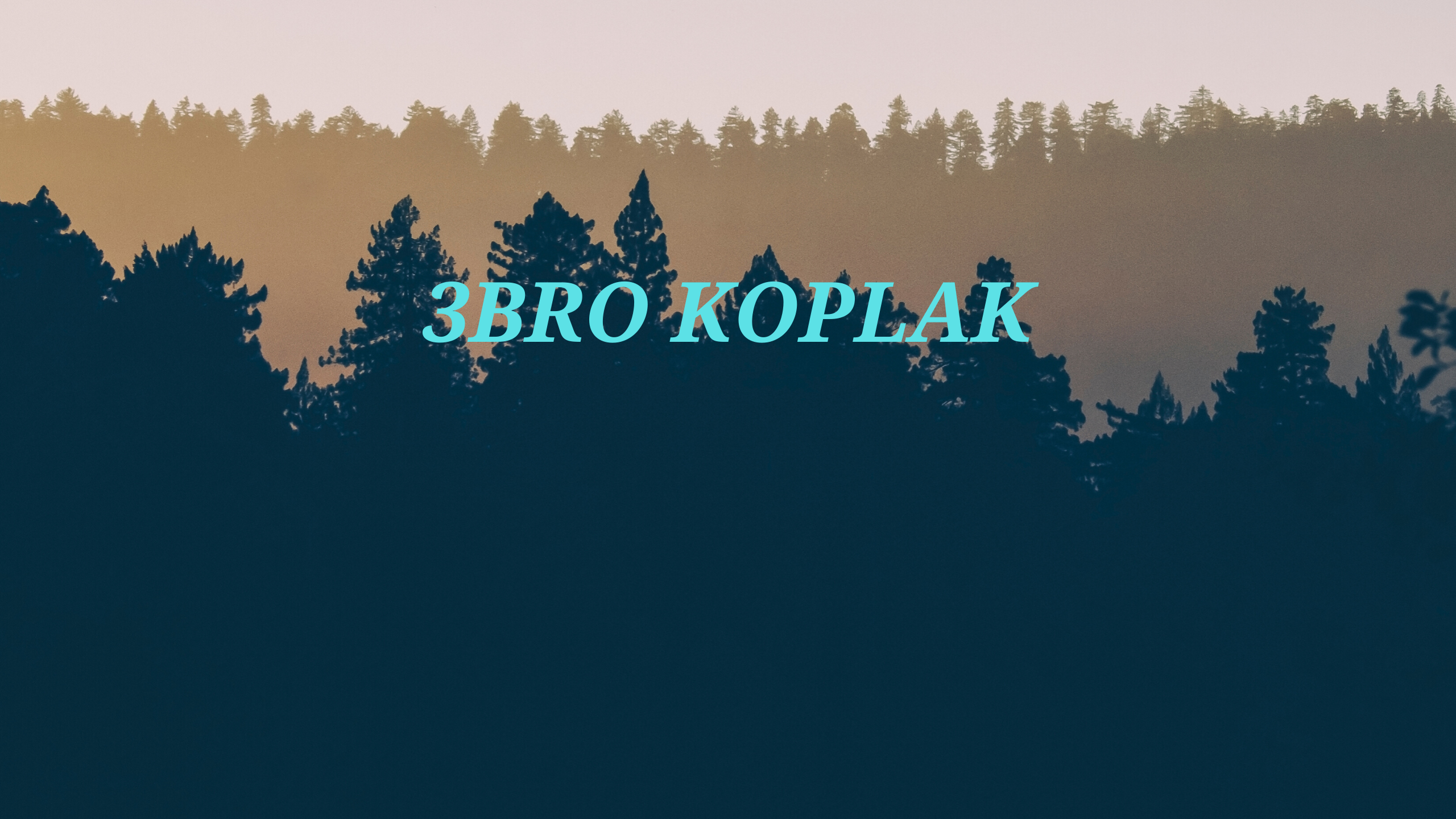 3Bro Koplak