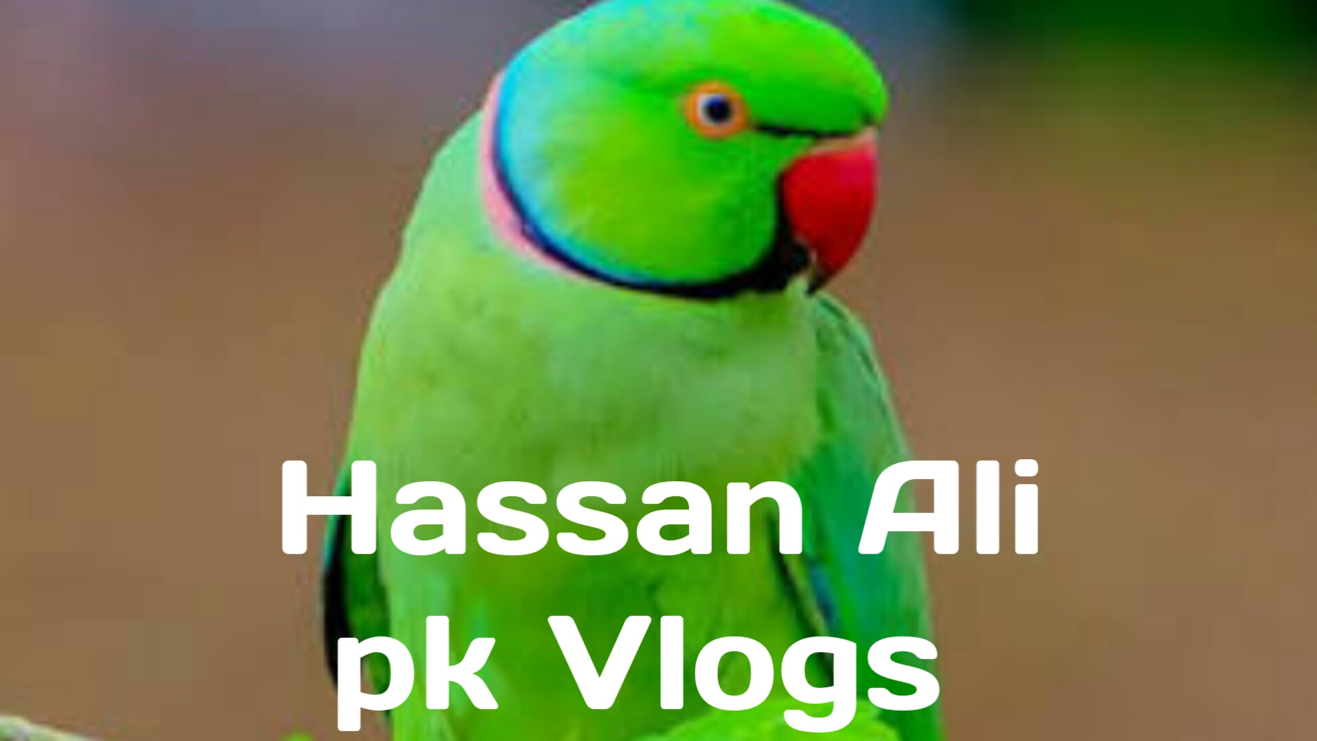 Hassan Ali pk vlogs