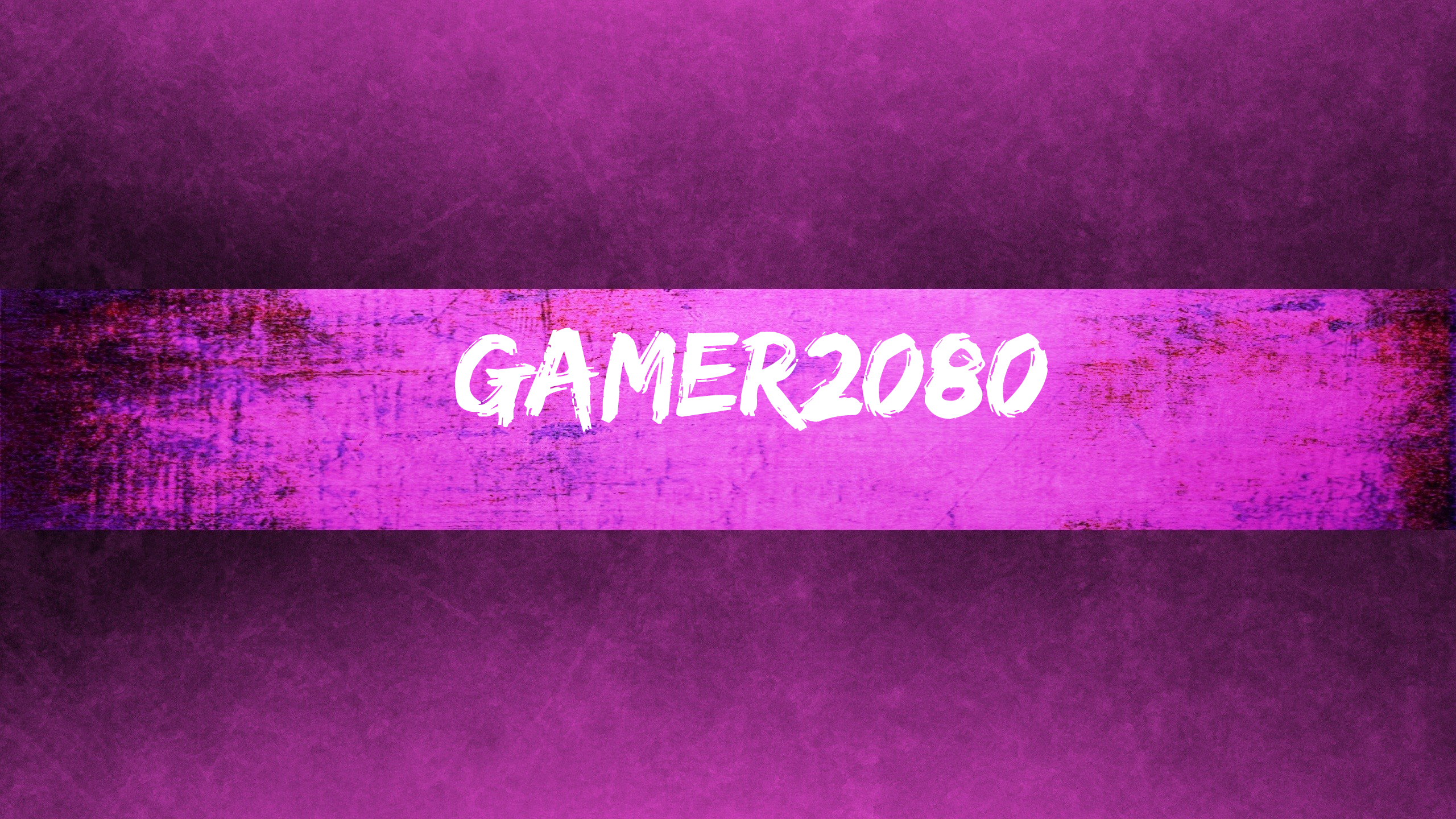 GAMER2080