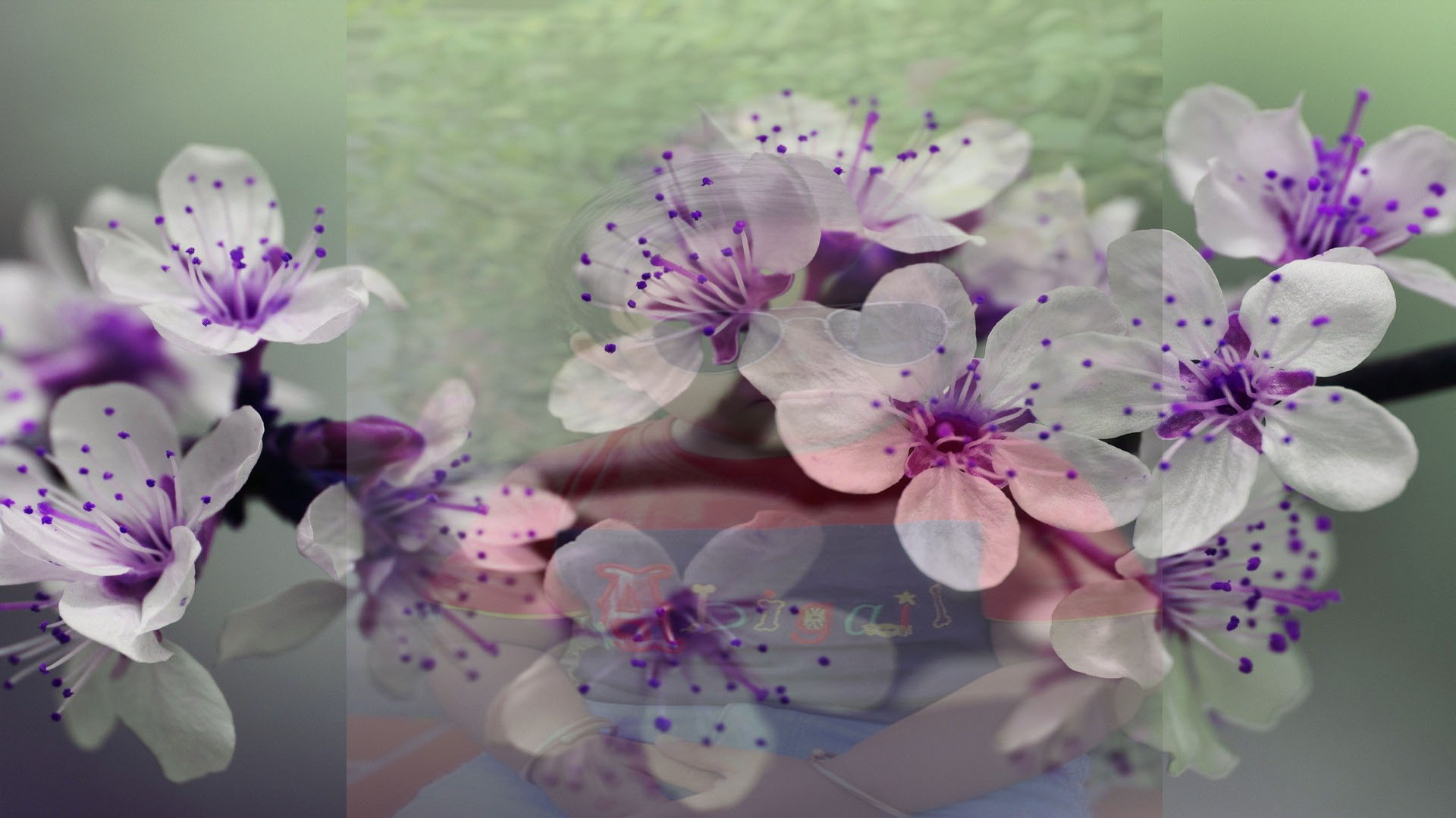 Addri’s entertainment