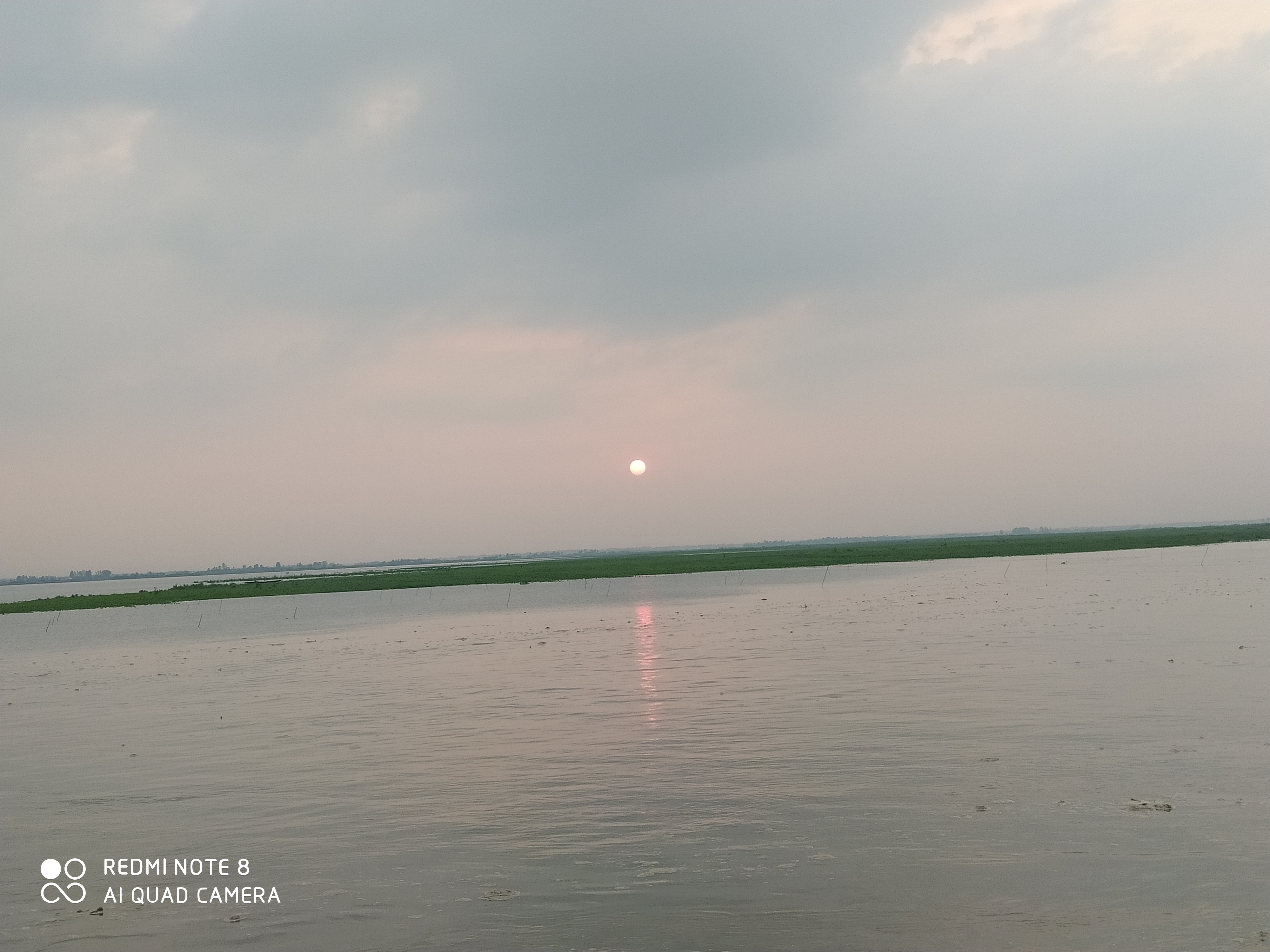 Green Bangla- গ্রীন বাংলা