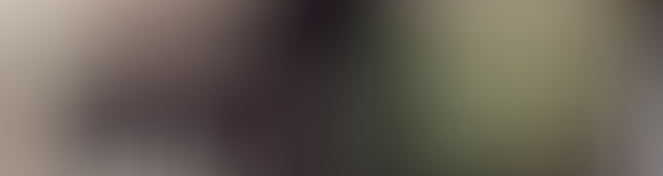 KerverusXP LeonHeart