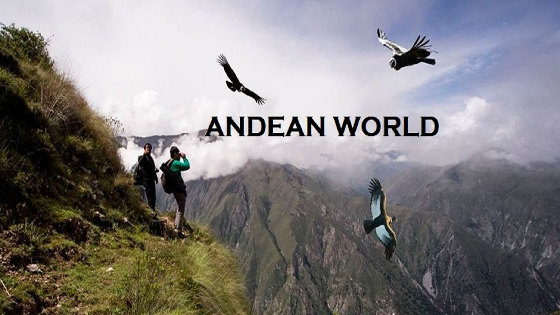 Andean world