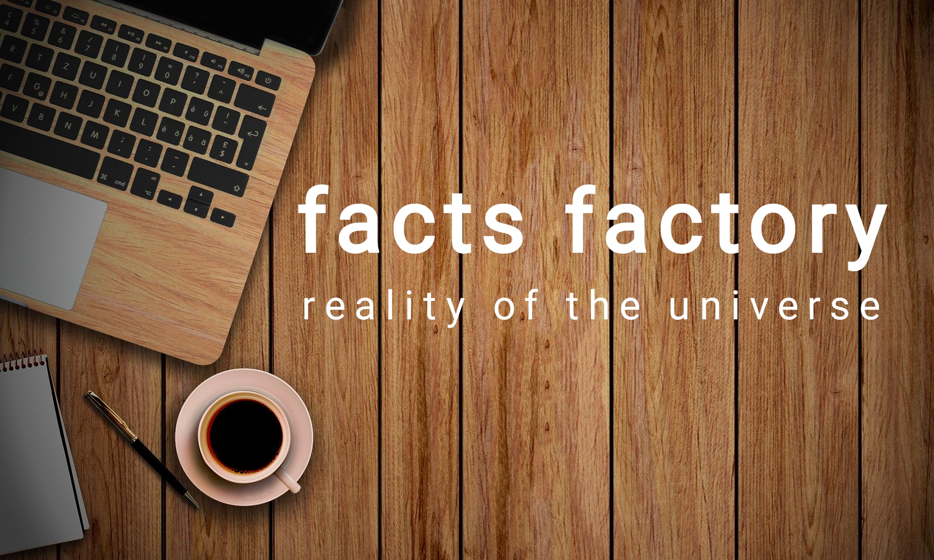 Facts factory 39