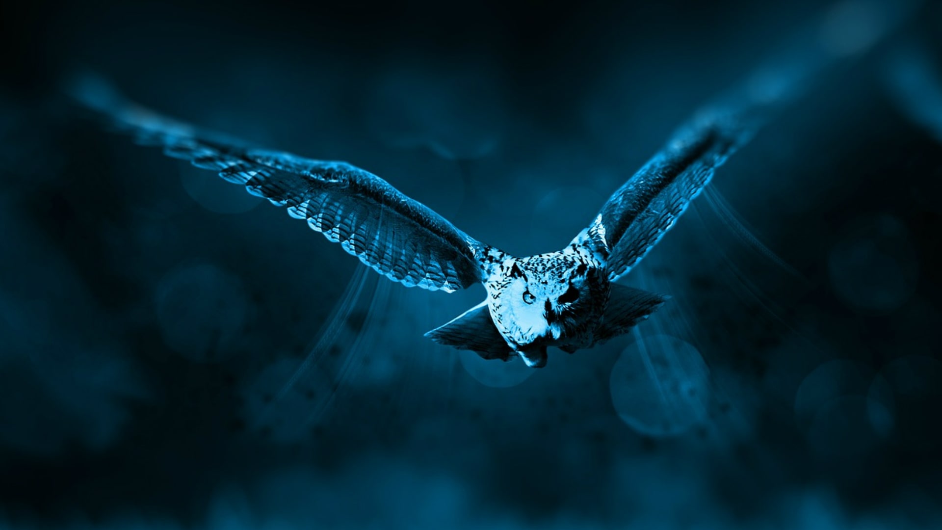 Jonathan Bennion-Pedley