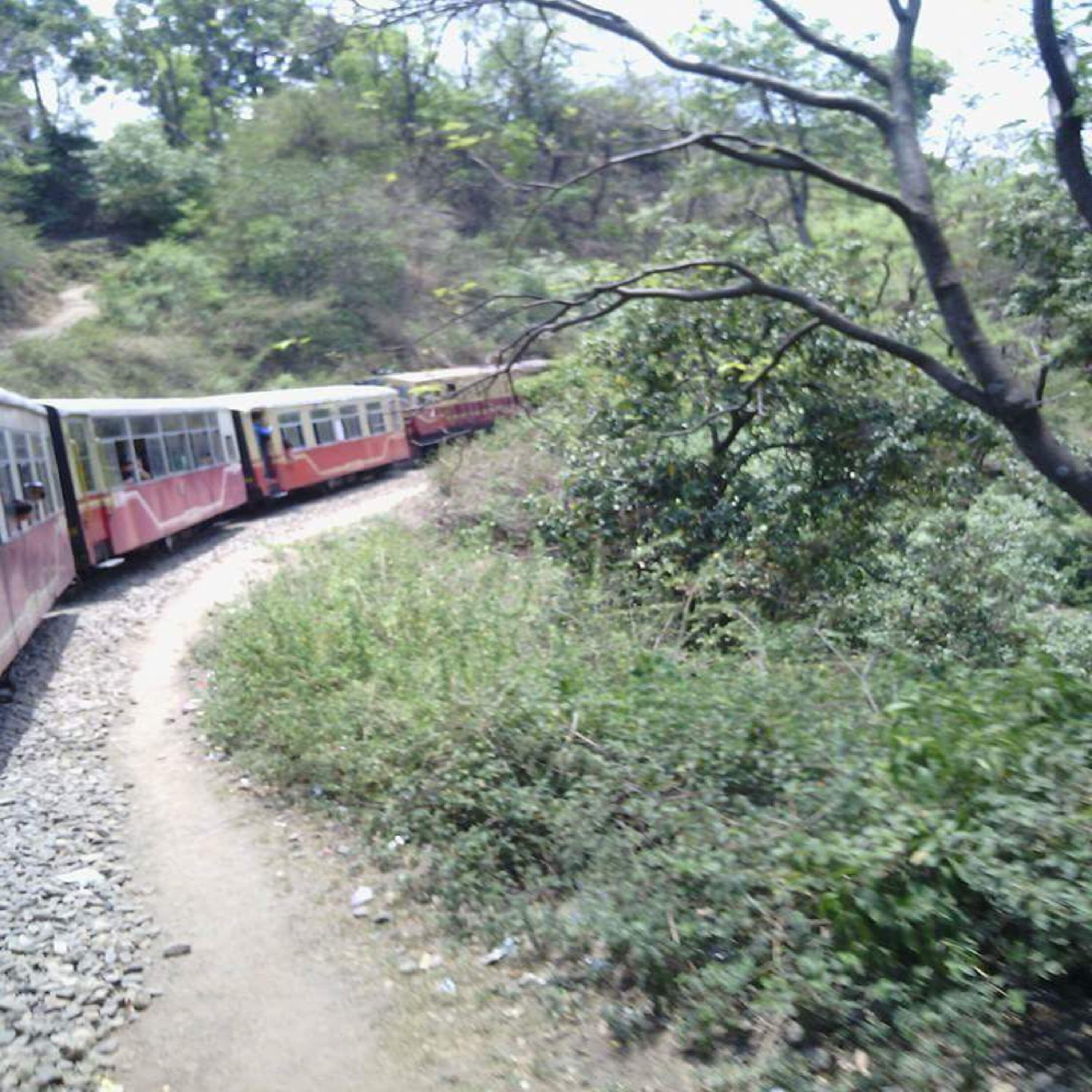 dm_f3a624cd77ef2b117d98ca4970706c10