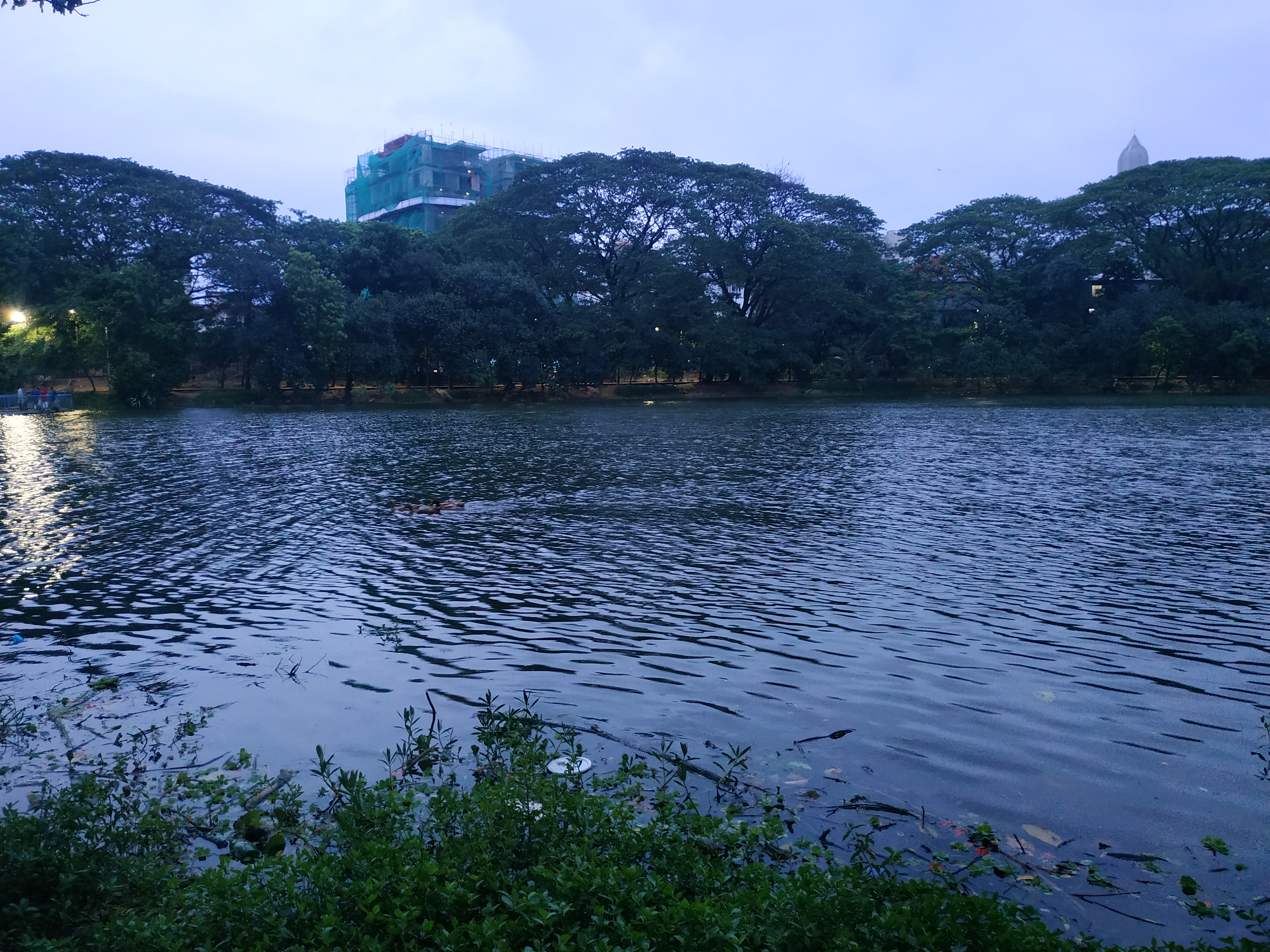 Deactivated Polapains