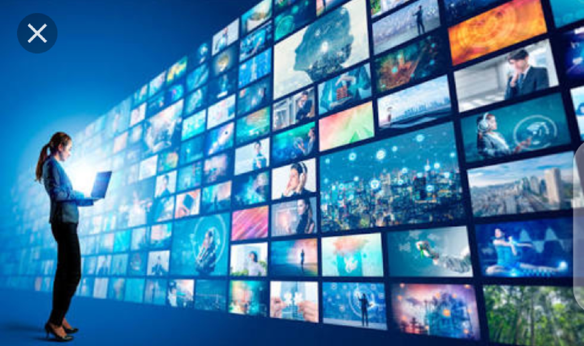 Entertainment and many more