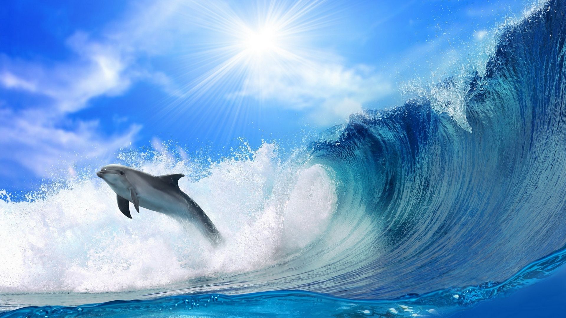 dm_041e7c86df9e7bacf7fe79a36284b025