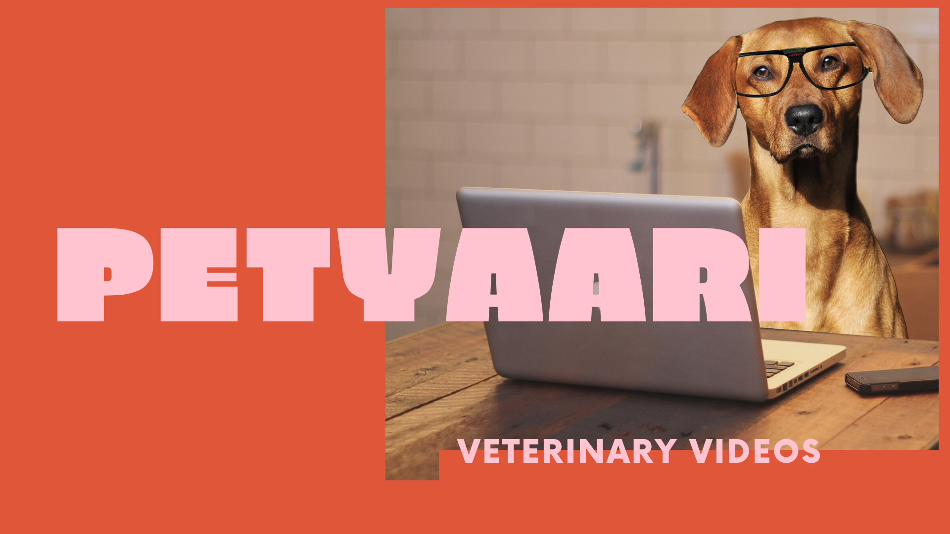 Pet Yaari