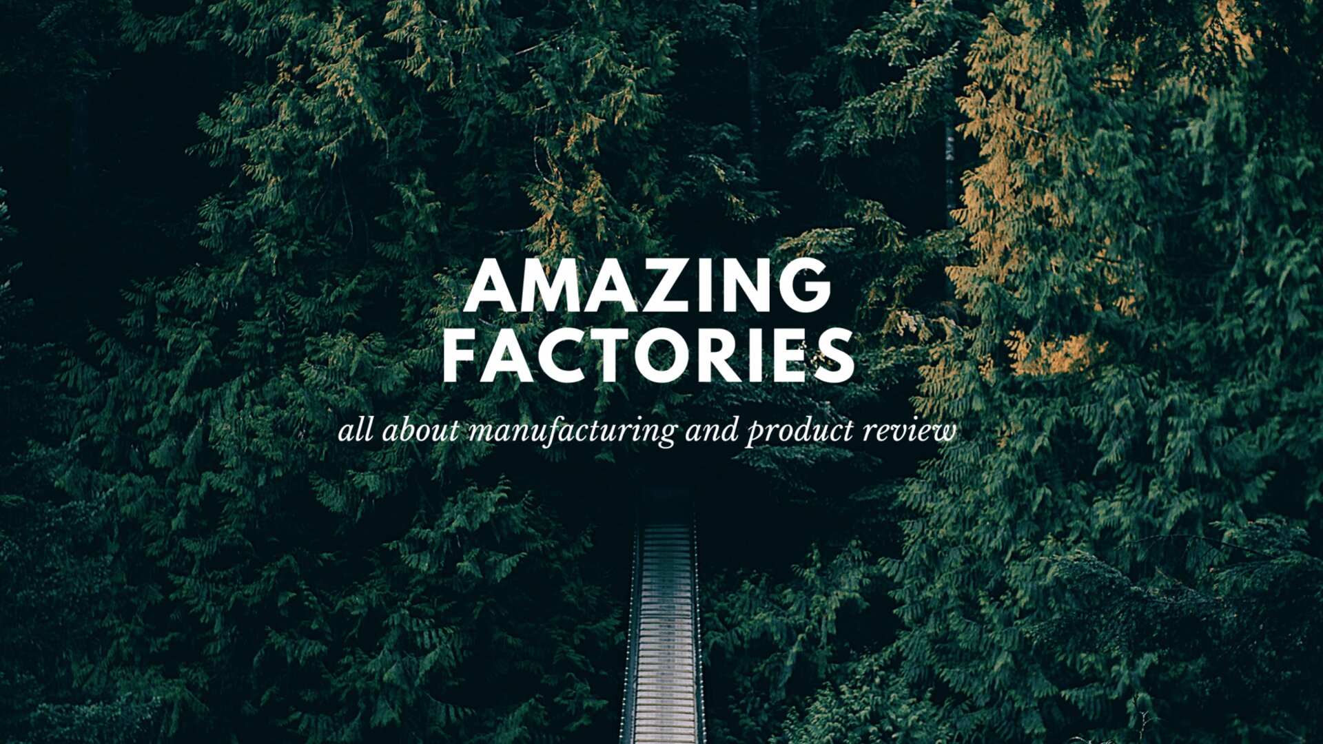 Amazing factories