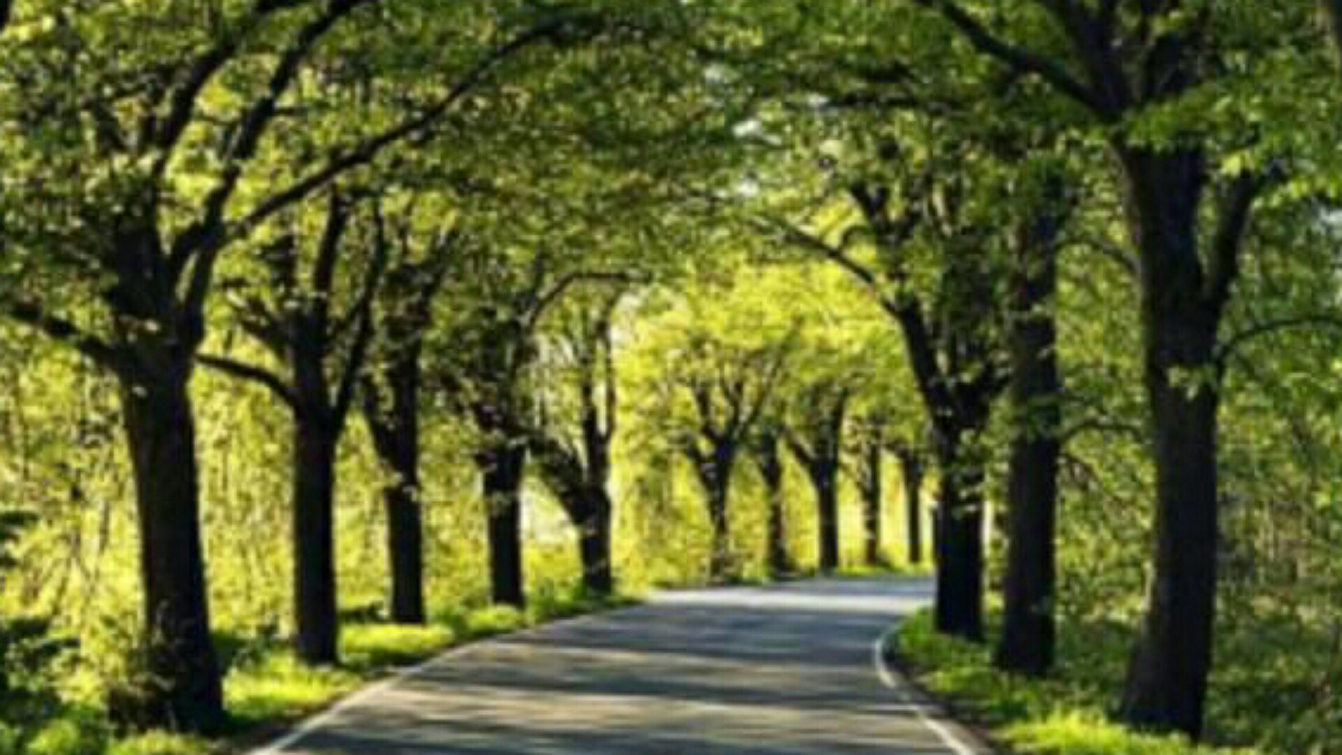 Harpalsingh Sultanwind 786