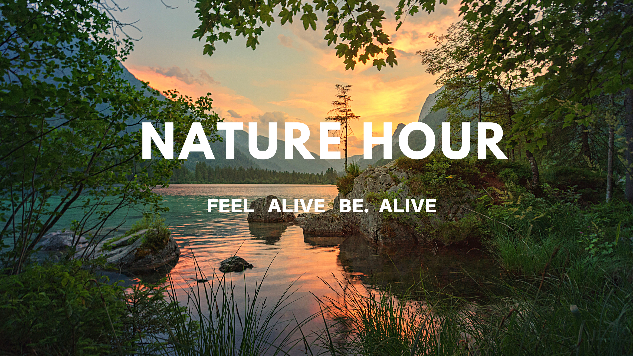 NATURE HOUR