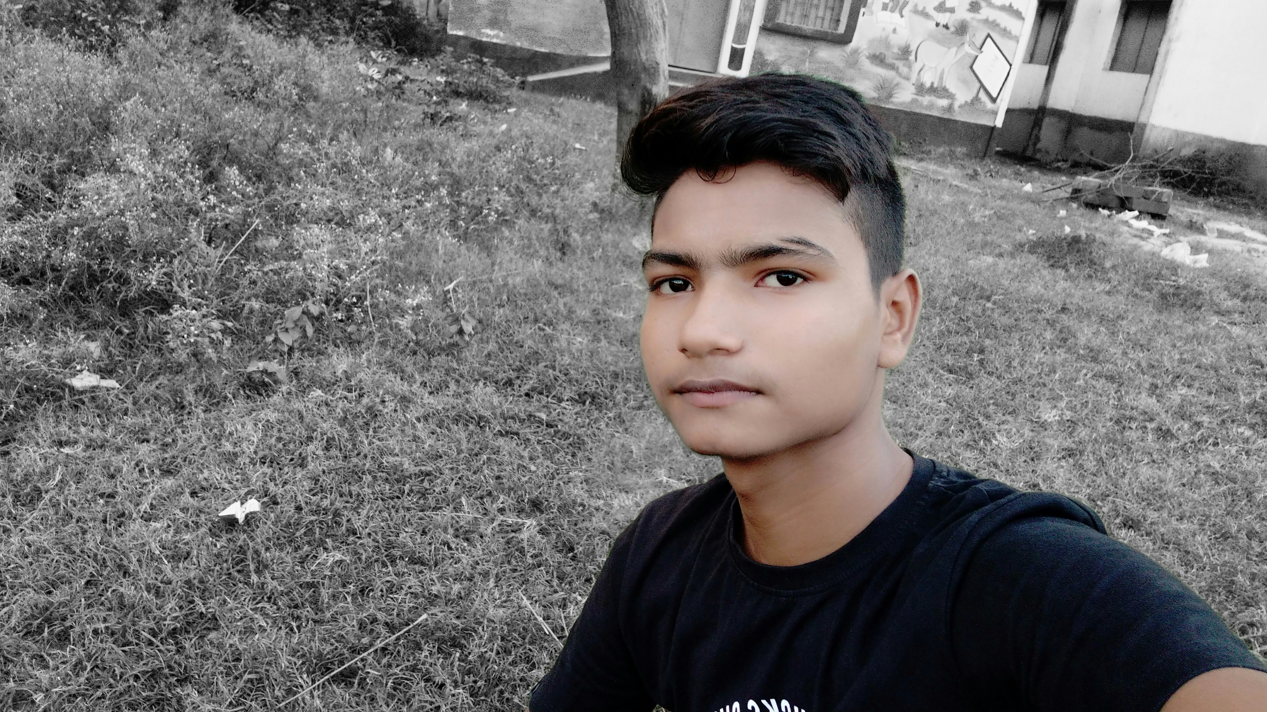 TRAILERS AND SONGS HUB