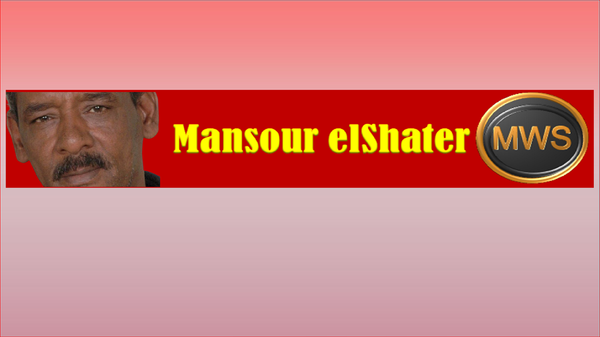 Mansour el-Shater
