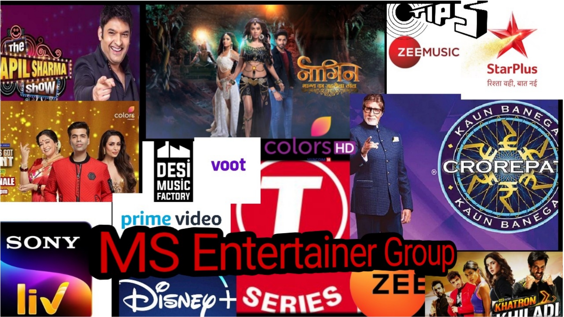 MS Entertainer Group