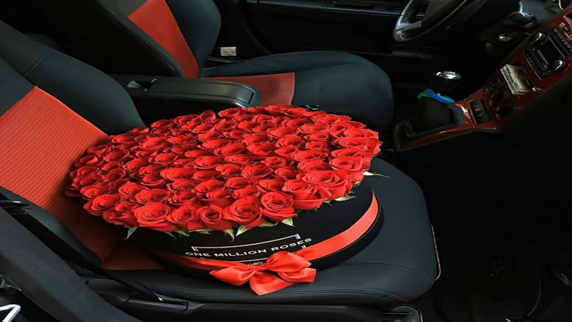 Entertainment Corner