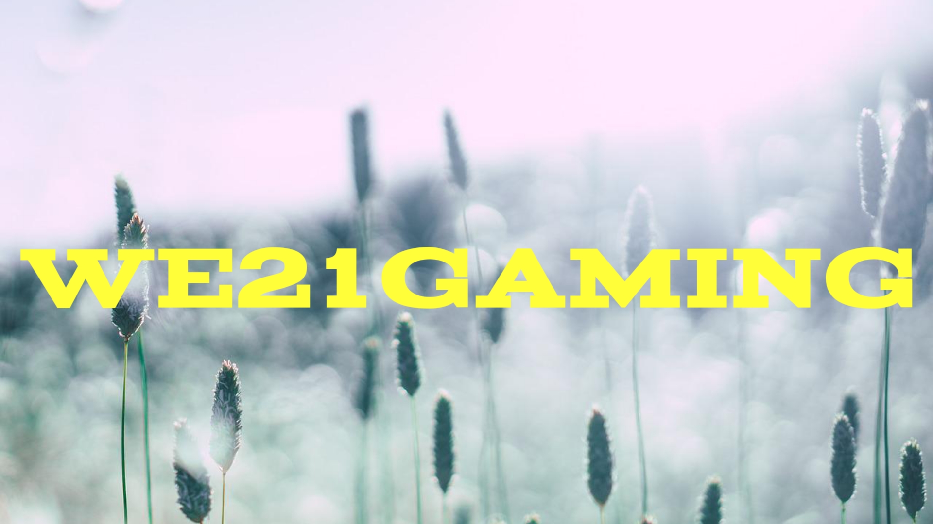 WE21 GAMING