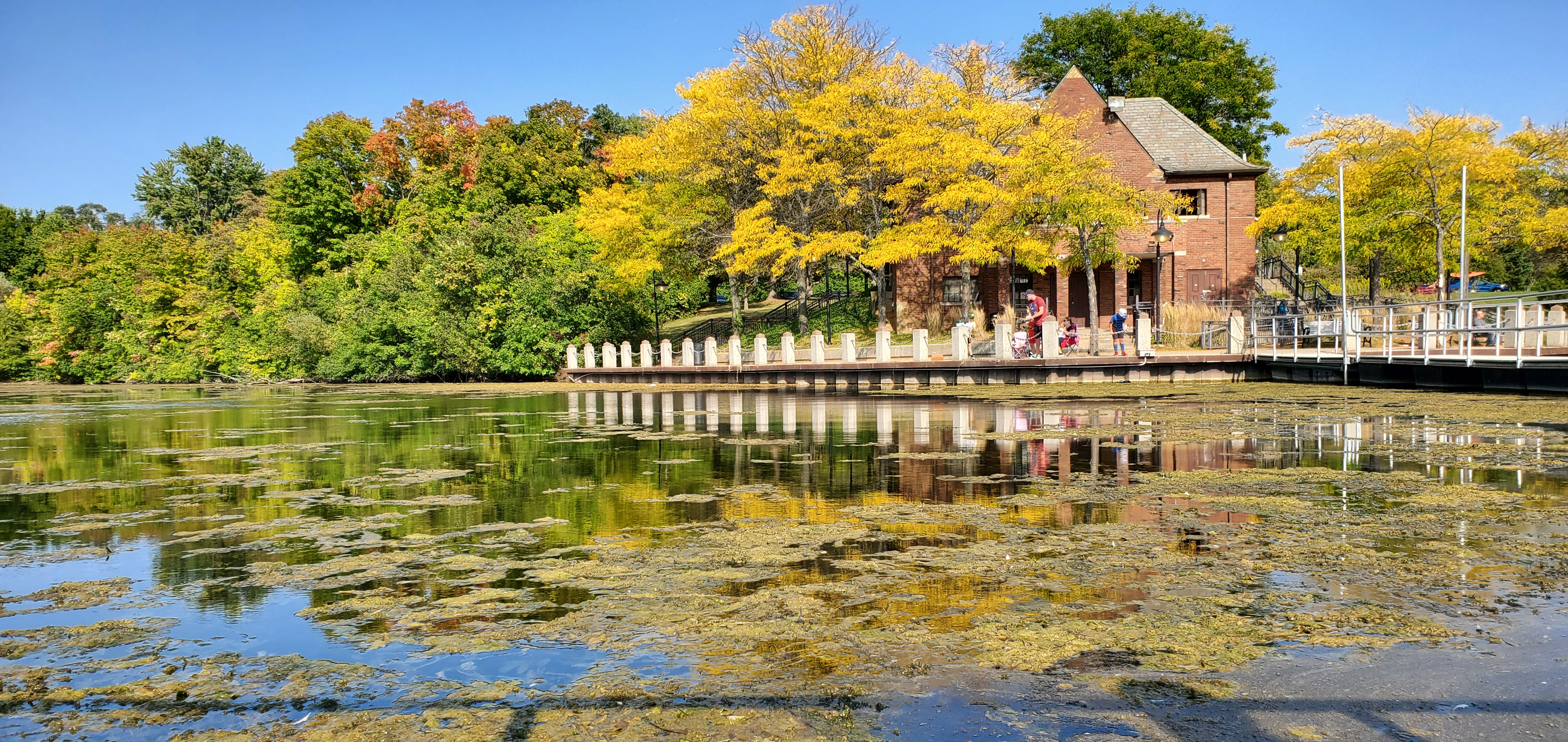 Bobby american vlogger