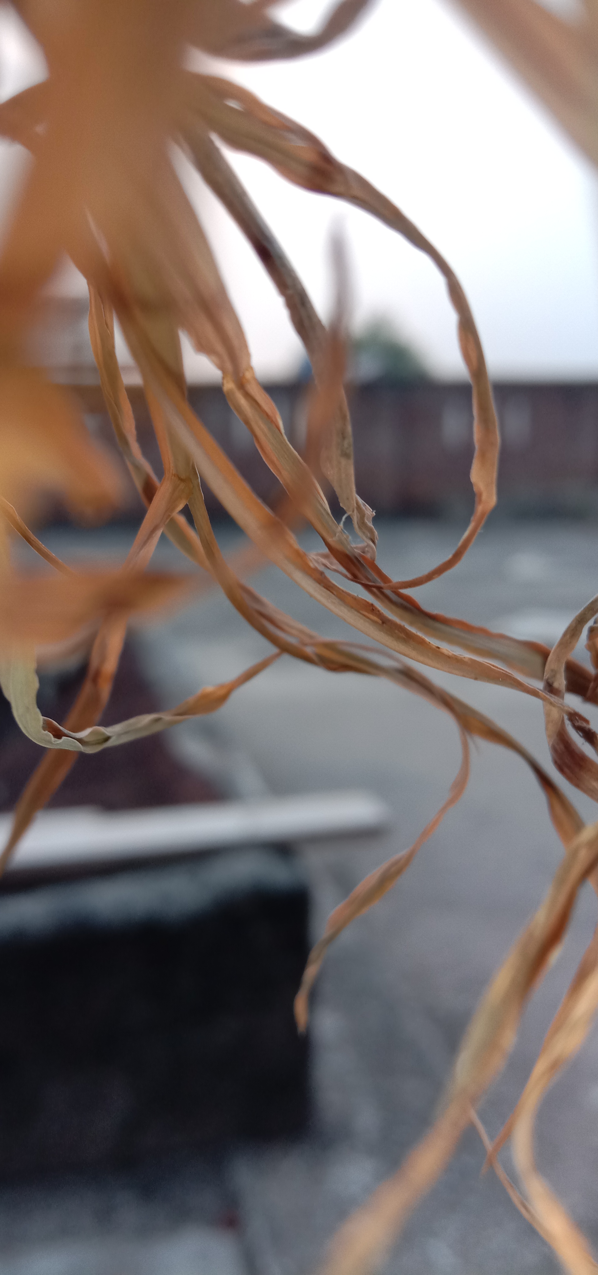 SPORTS AND FUN TECH P\p