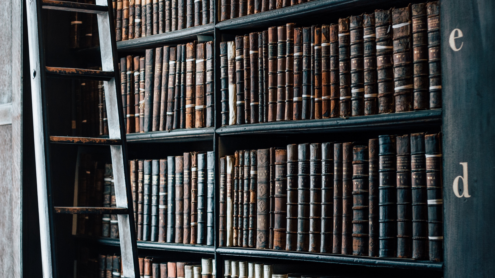 dm_9e661e42cb4bf6b22d4e0db71abfc030