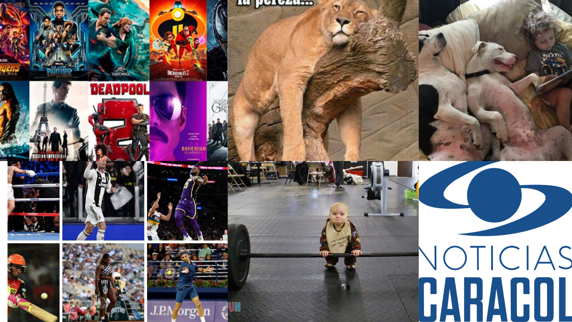 Pedro Arvelio Dalmau Cervantes