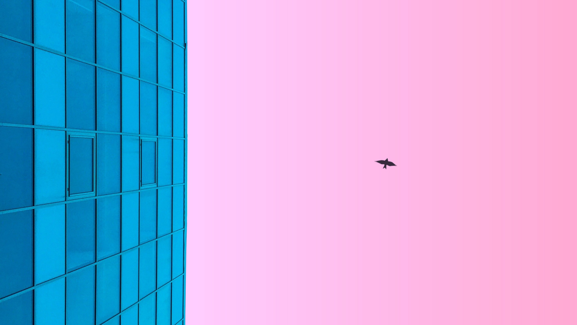 dm_02d88bf52df076f5796fecc5b198aa75