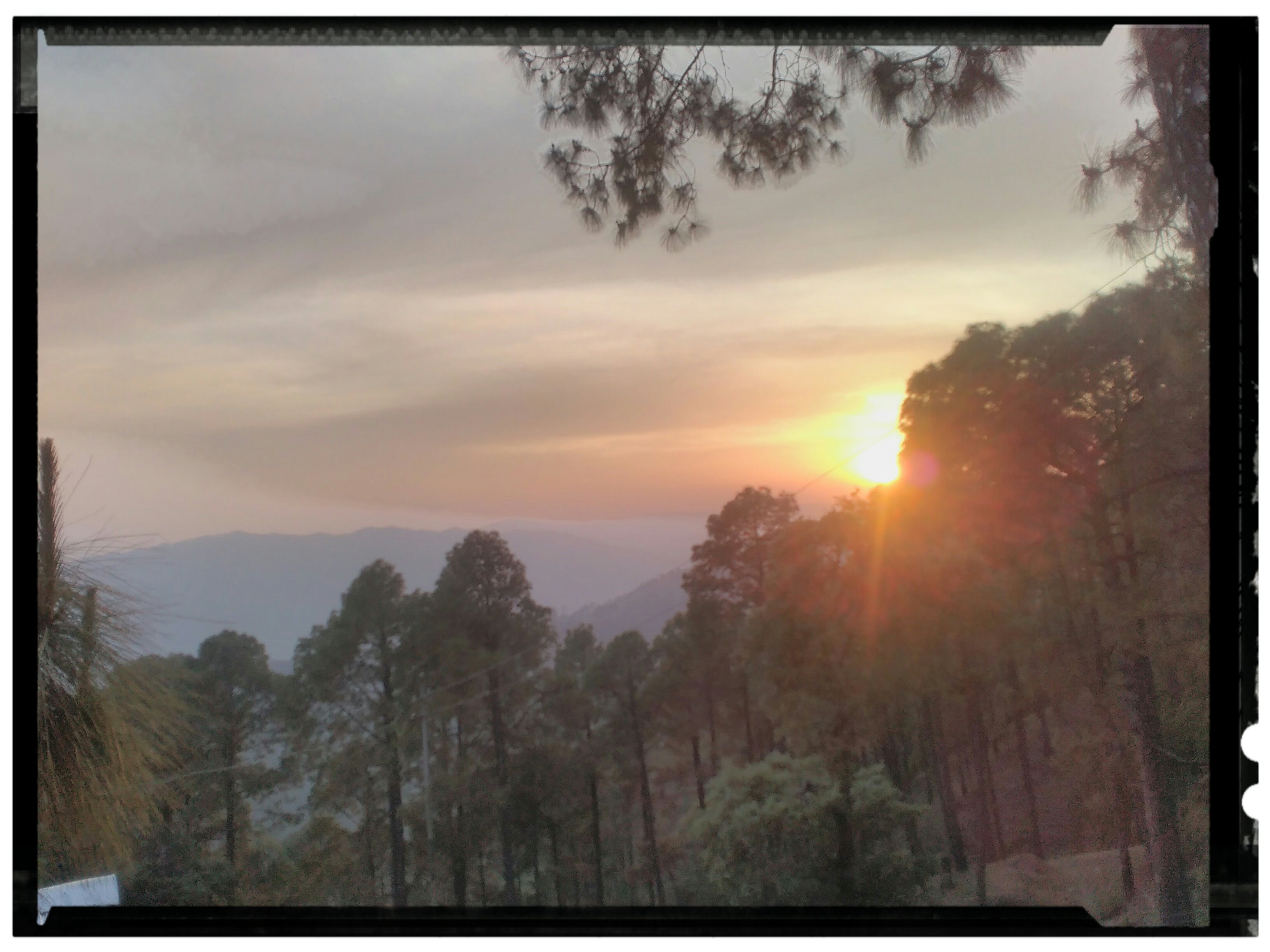 AP's beautiful world