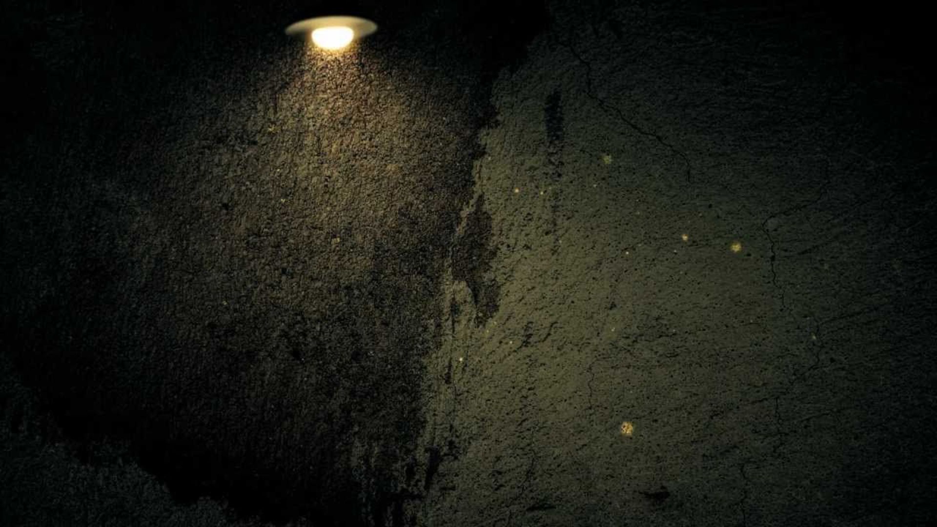 dm_1830ac2ff0c7cd7d5244f01787cf3f4e