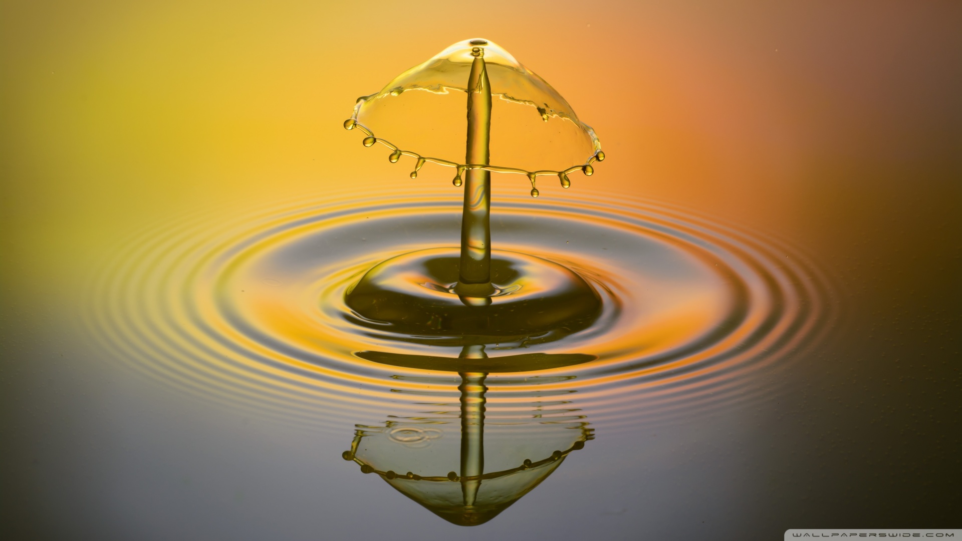 TadaakiTashiro Anime 劇場版