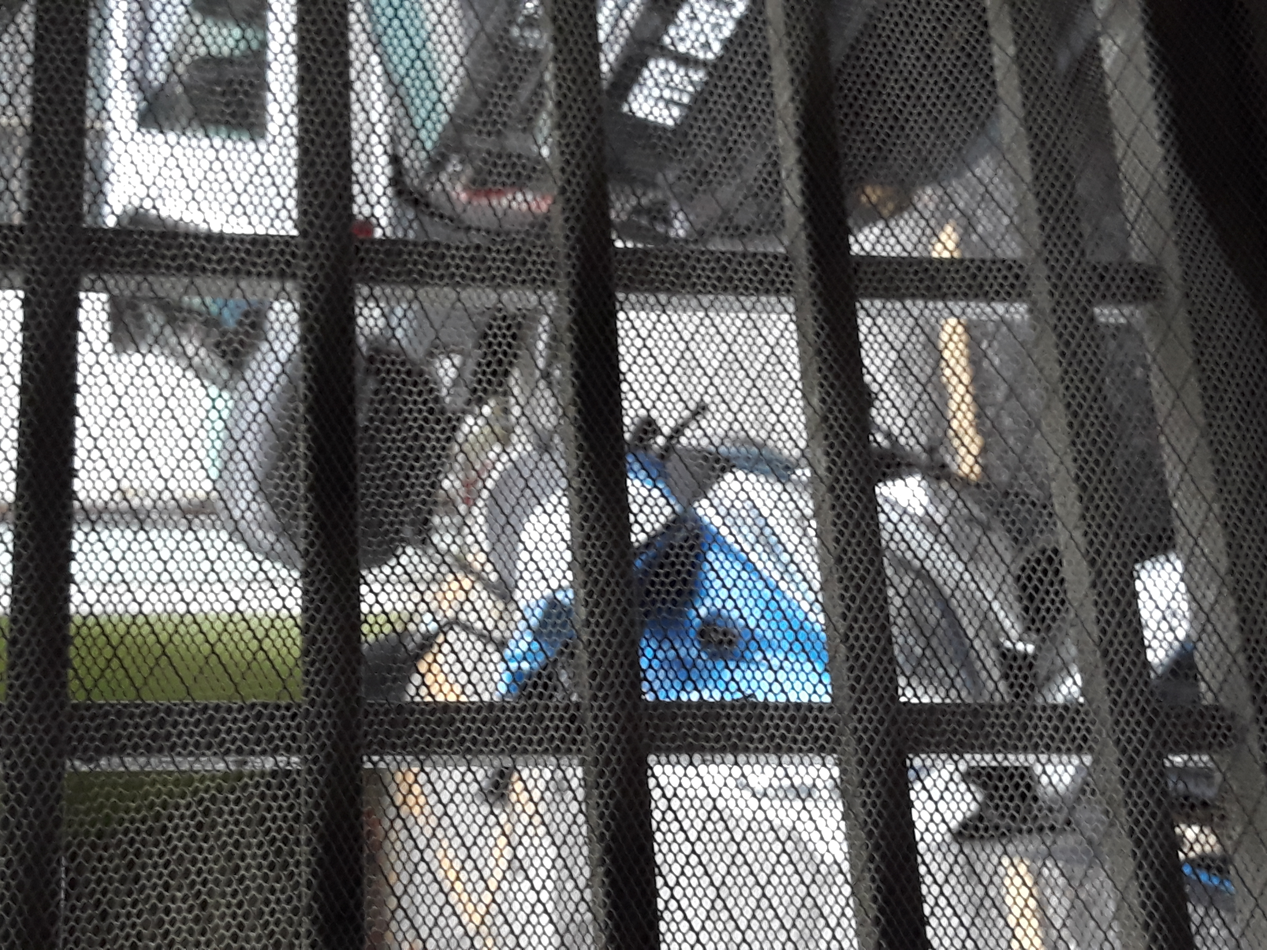 Poetery and funny videos