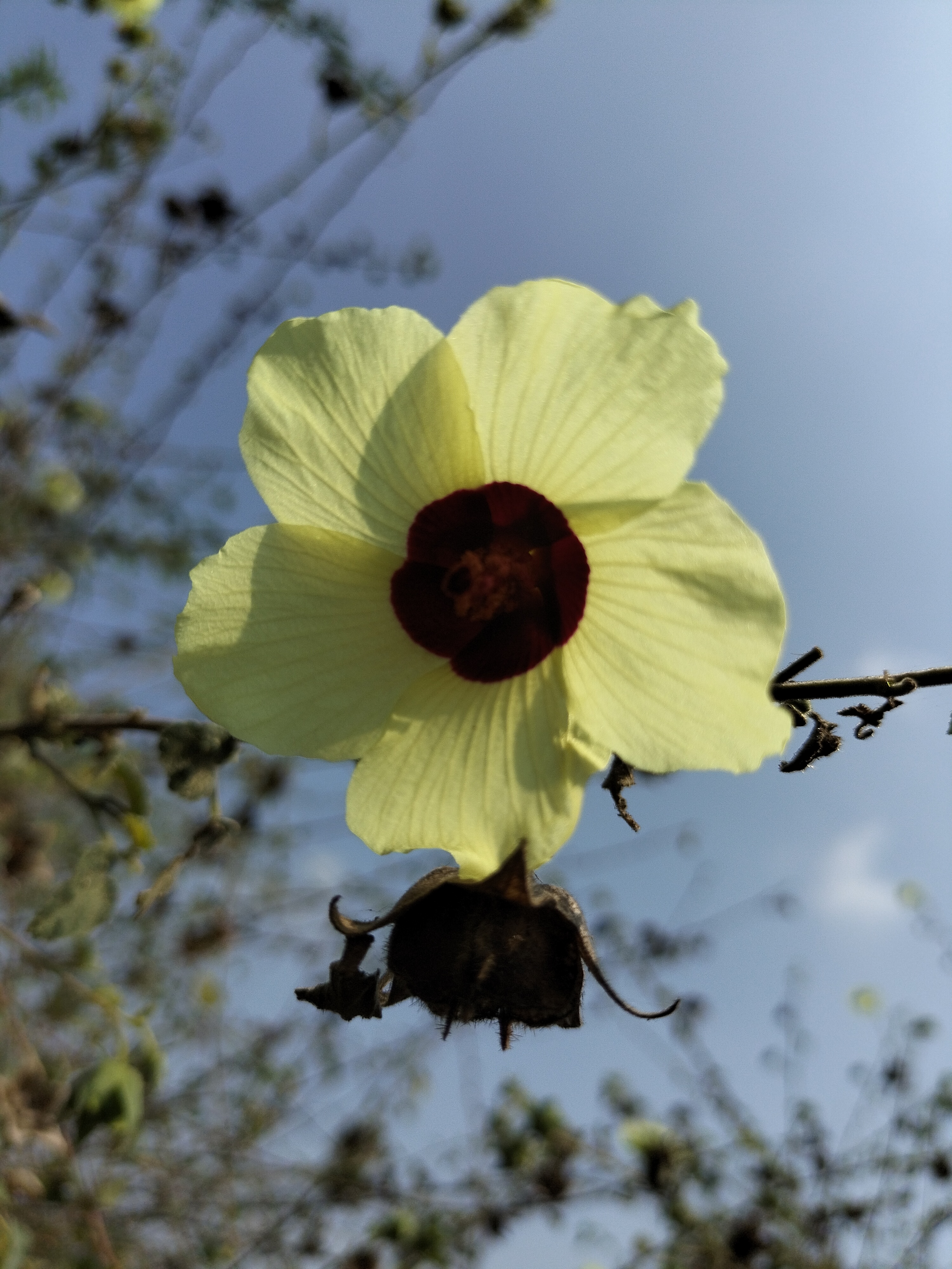 Tamil review updates