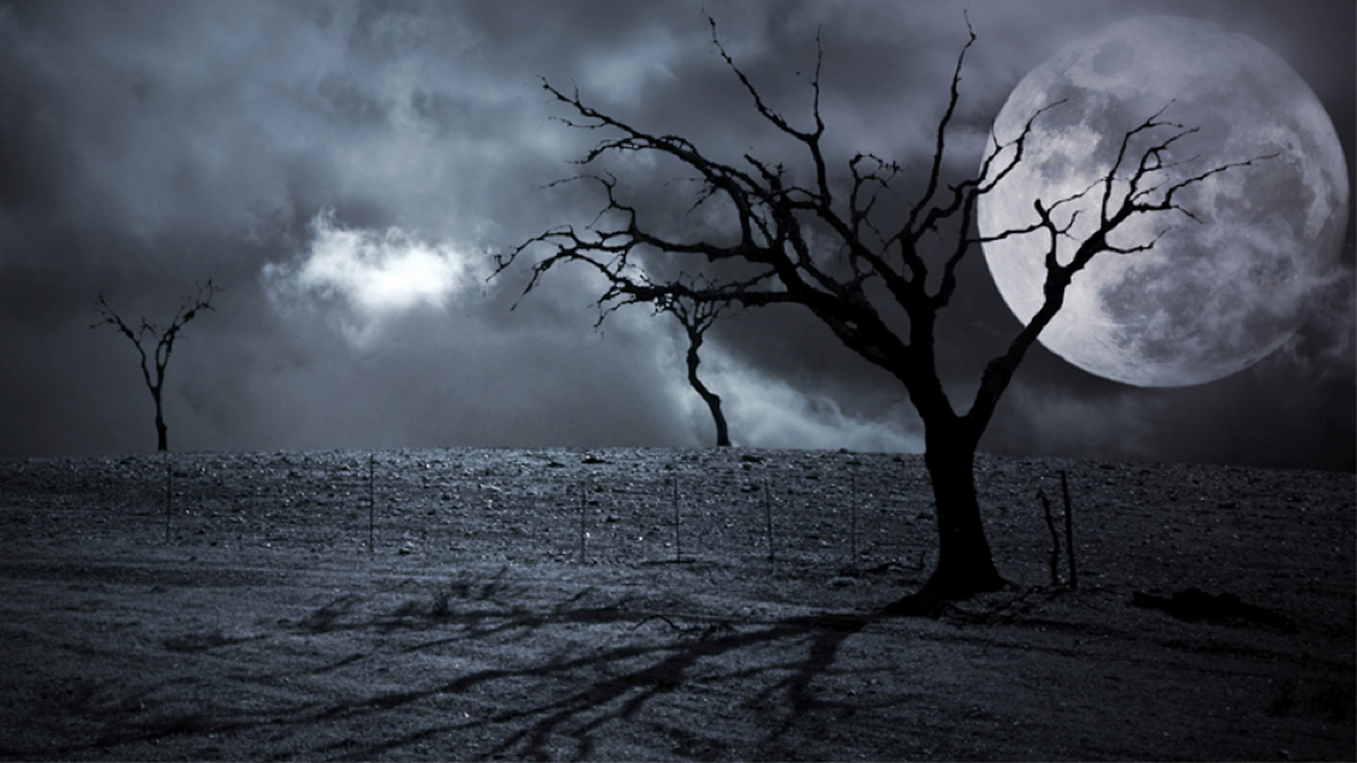 Le Blog De L'étrange