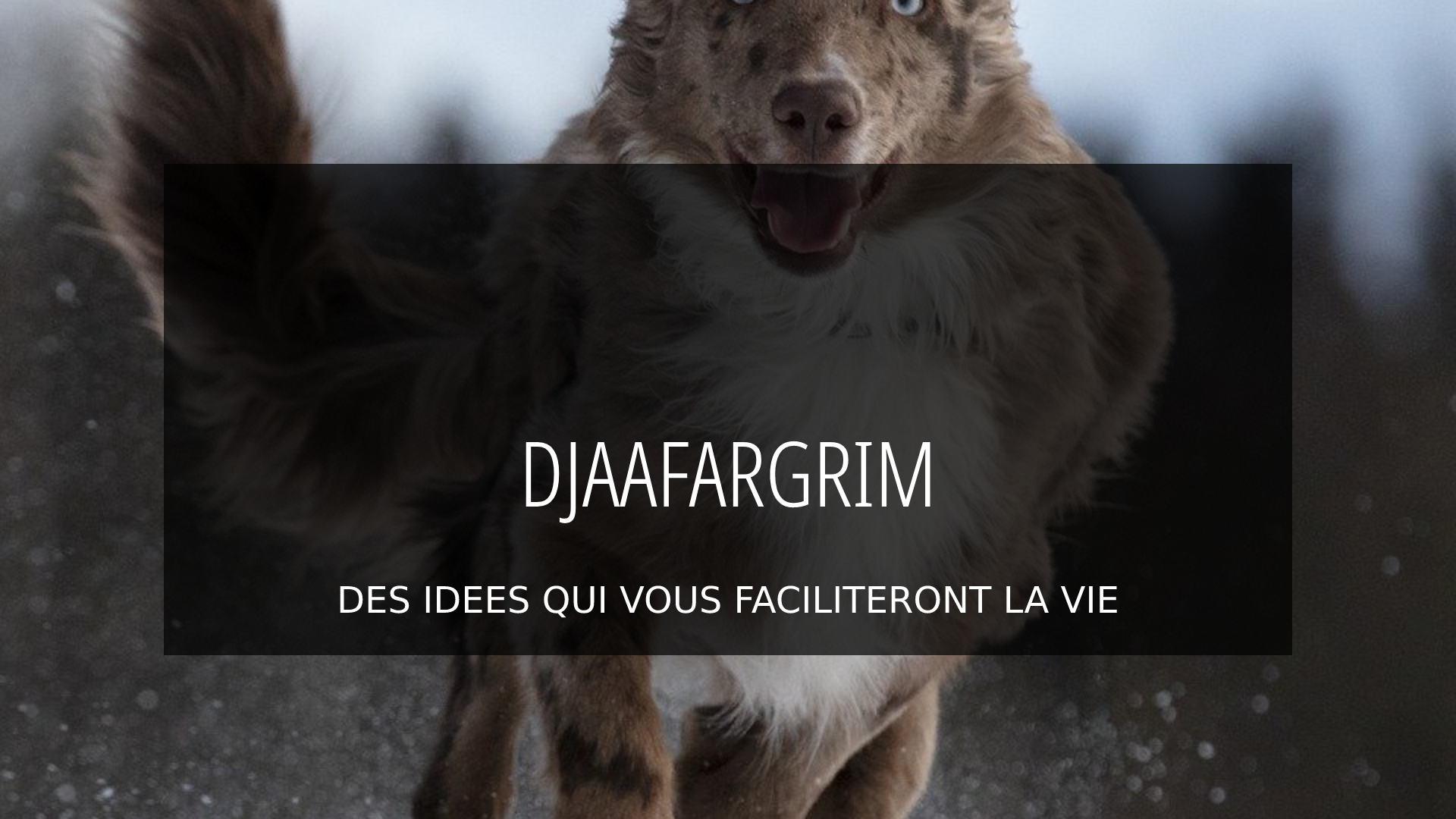 djaafargrim