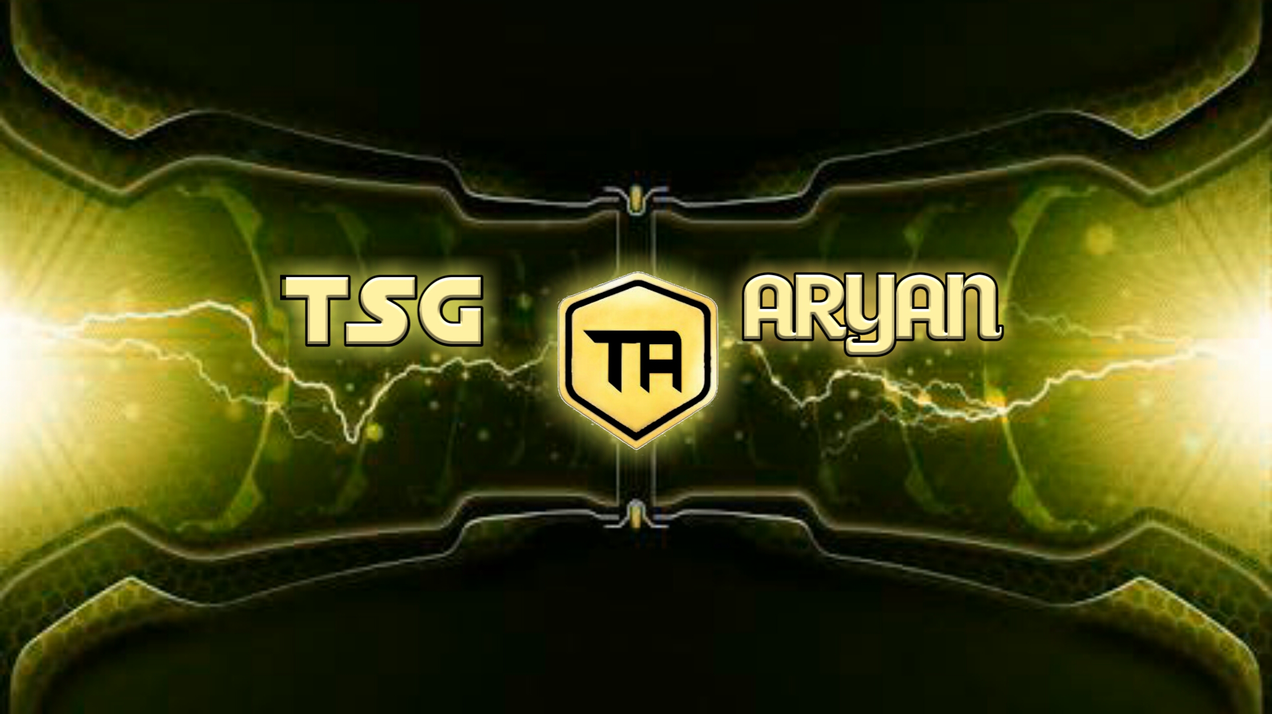 TSG ARYAN